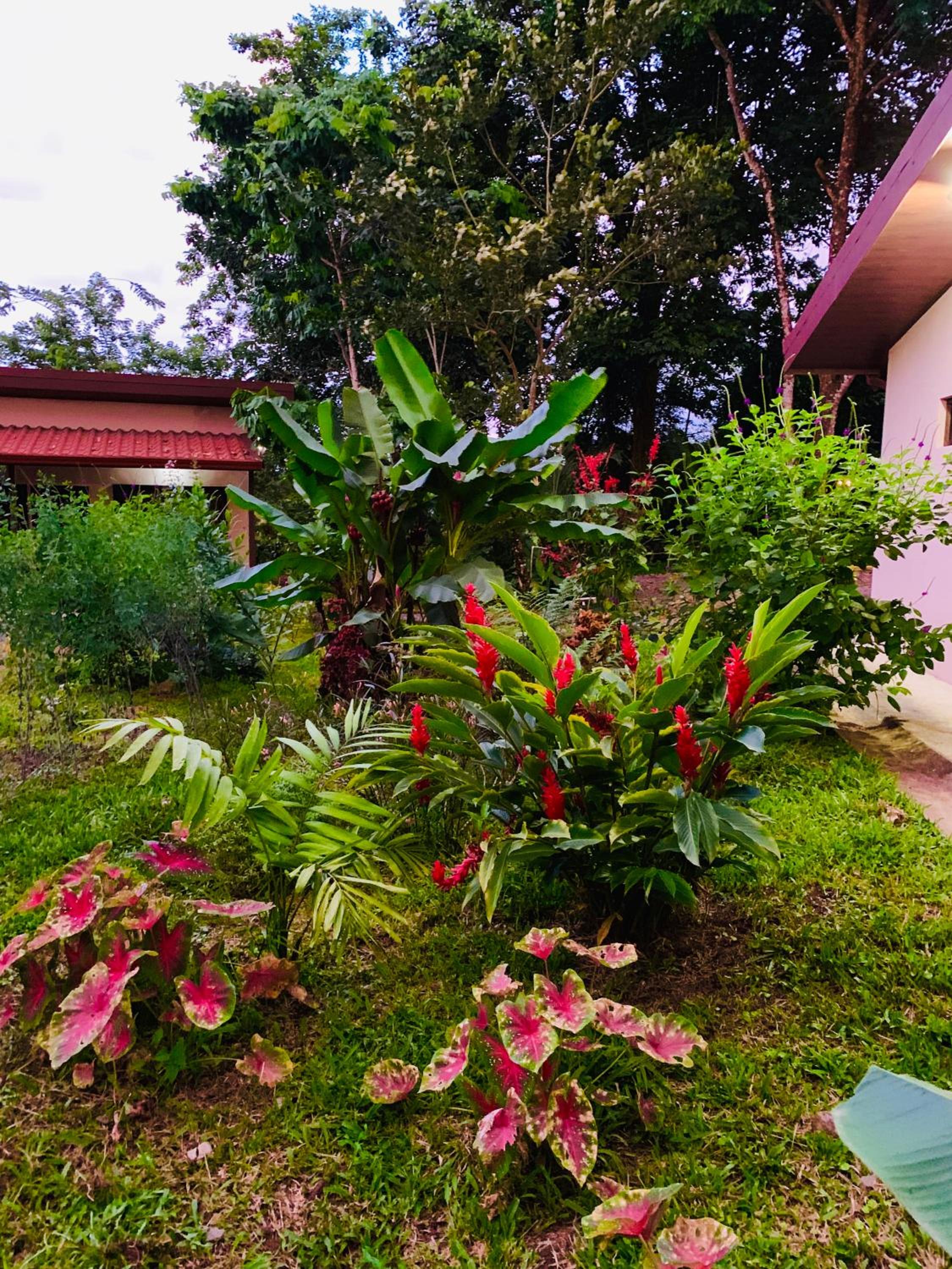 Villa Tucan