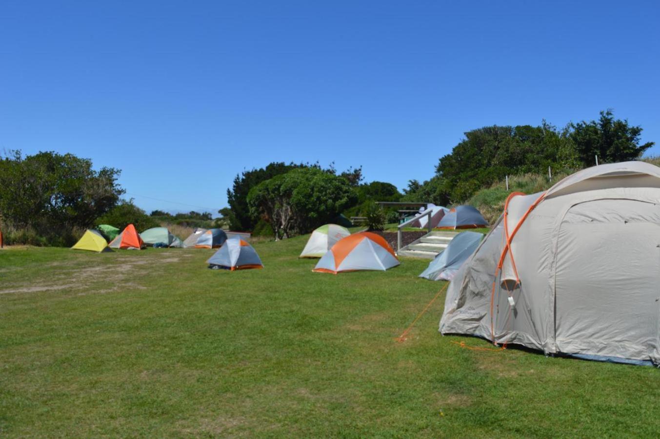 Dunedin Holiday Park - Image 3