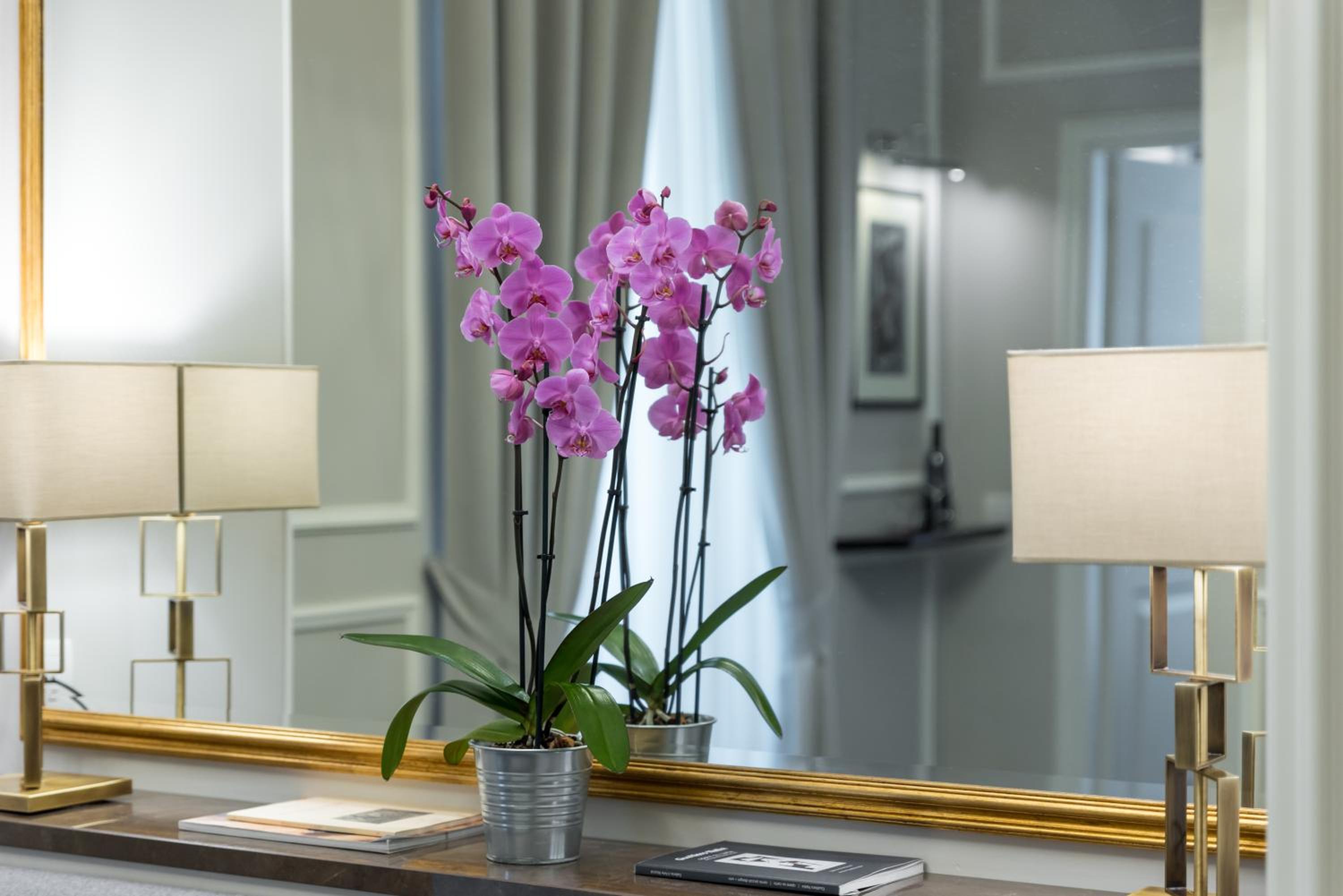 Florence Luxury Guest House