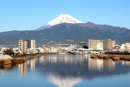 Minato Oasis Numazu / 沼津観光の中心、伊豆観光の拠点に好立地！沼津港に位置し交通・飲食・コンビニ等至便です！, photo 54