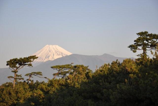 Minato Oasis Numazu / 沼津観光の中心、伊豆観光の拠点に好立地！沼津港に位置し交通・飲食・コンビニ等至便です！, photo 41