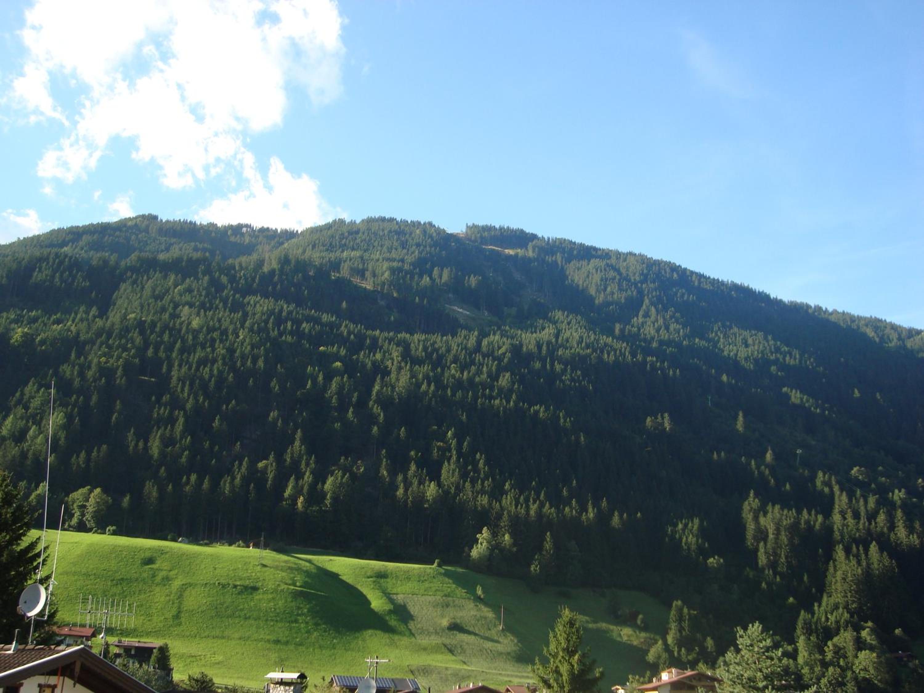 Photo 48