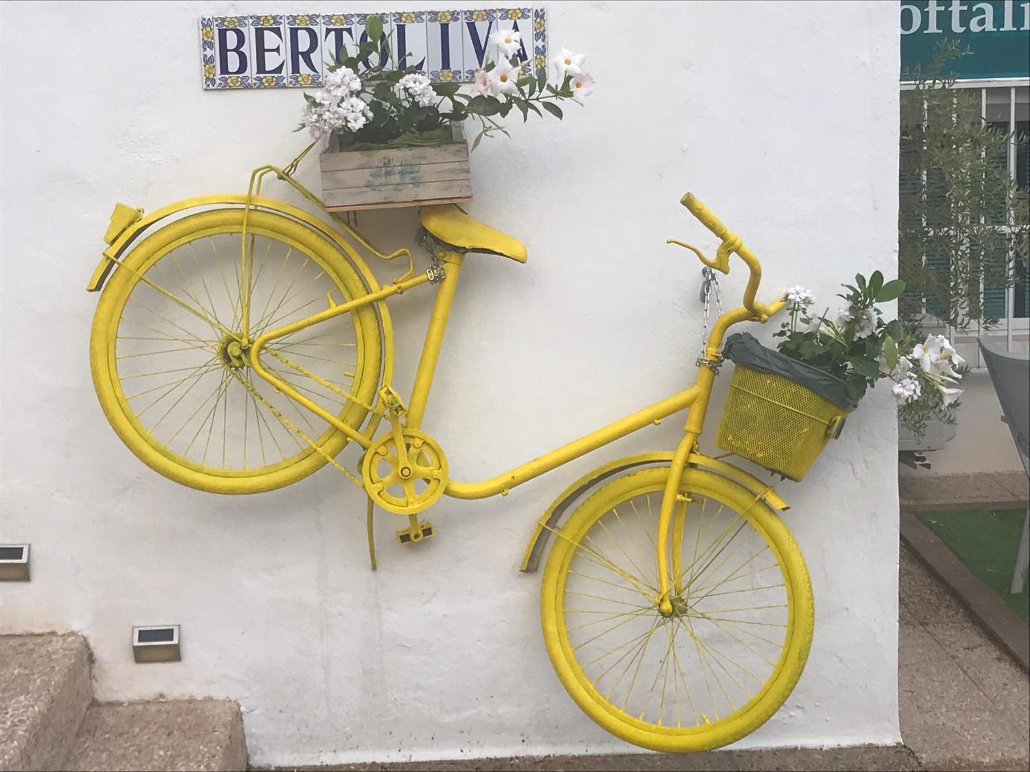 Bertoliva
