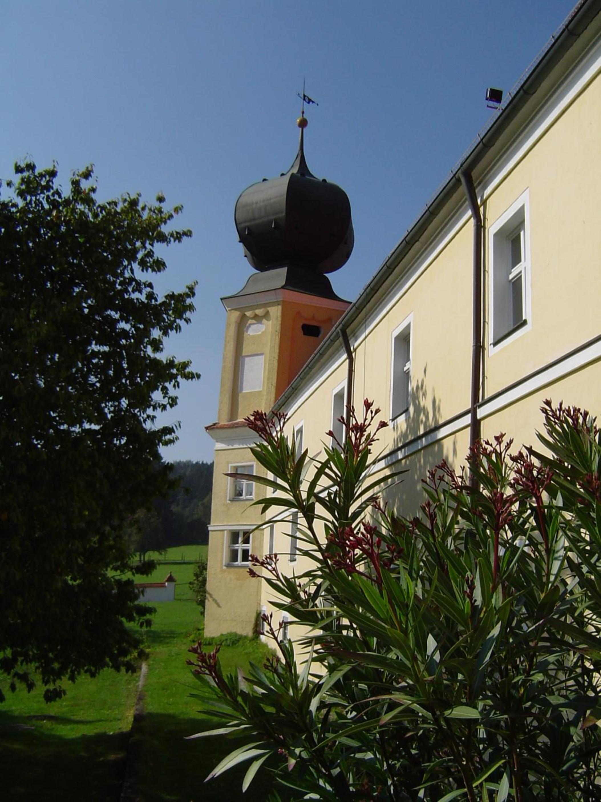 Photo 23