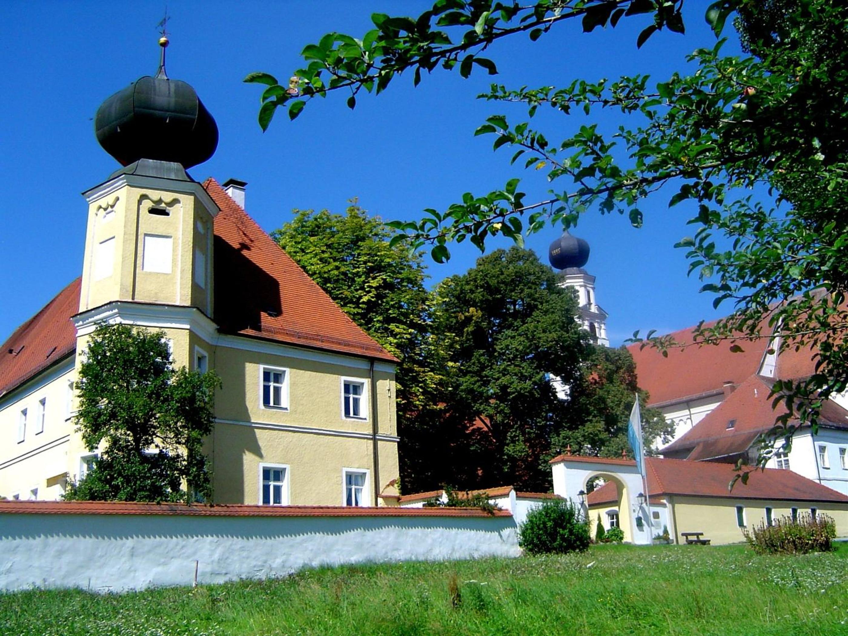 Photo 11