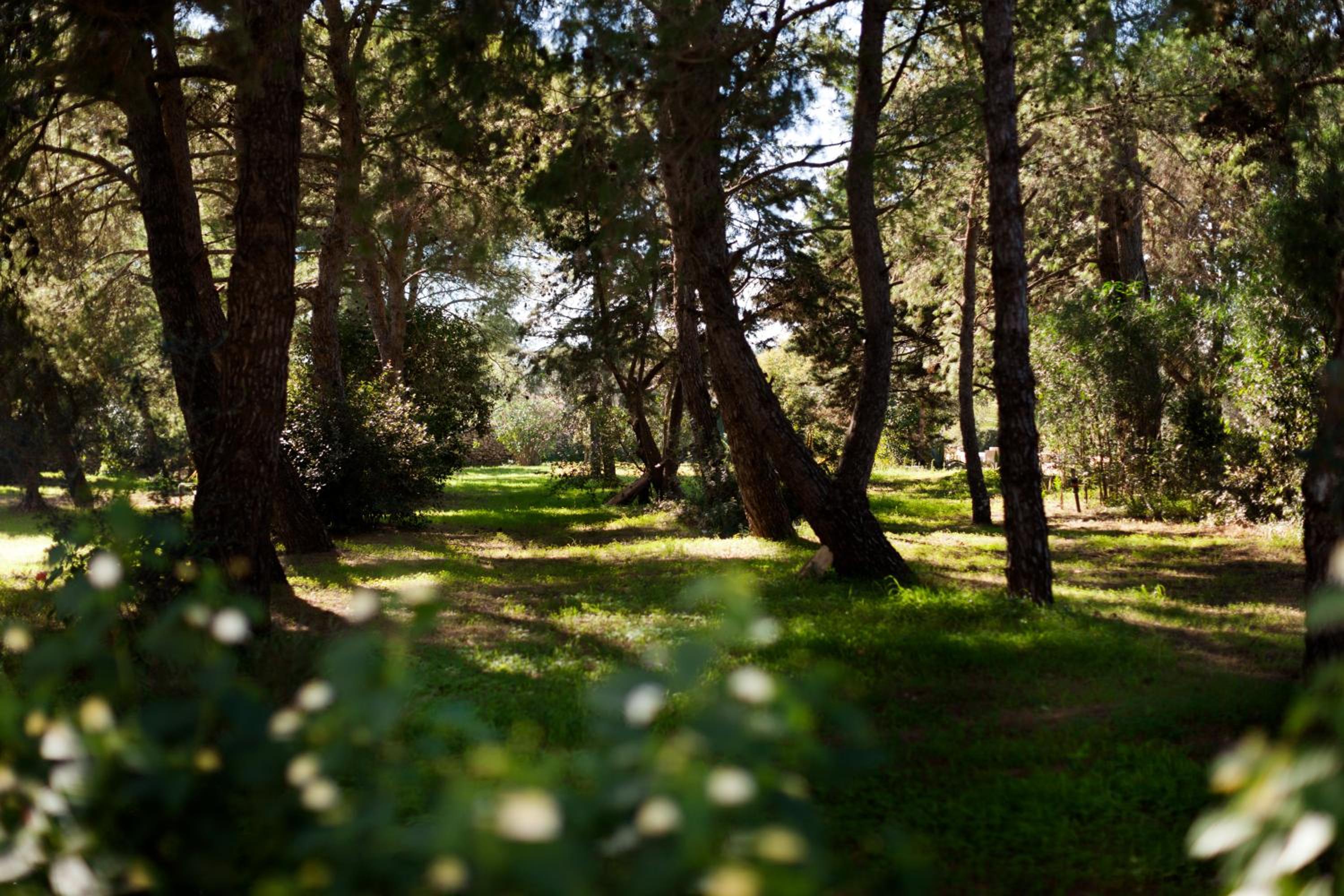 Masseria Borgo Mortella, photo 28