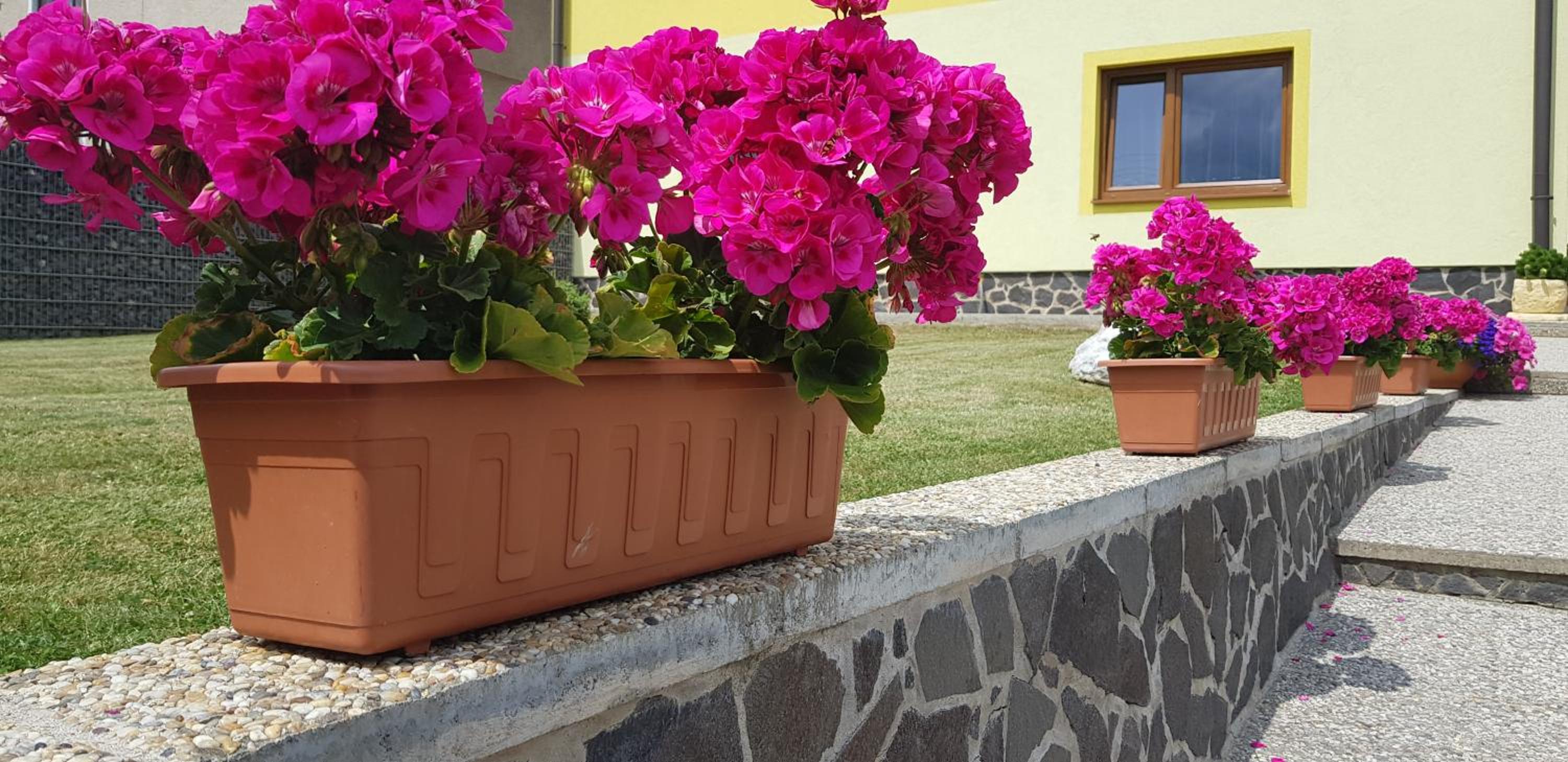Apartman Zatura view 5