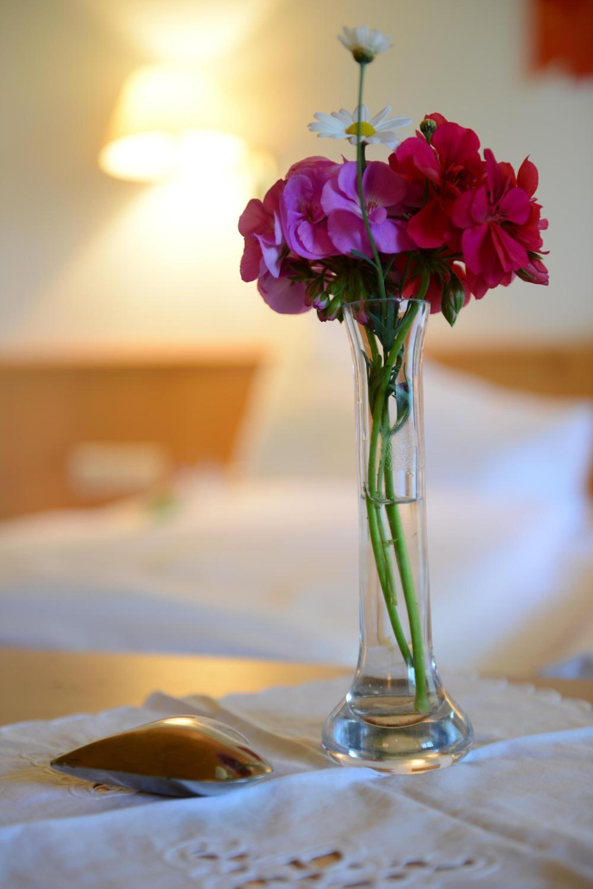 Hotel - Restaurant - Sonnblick
