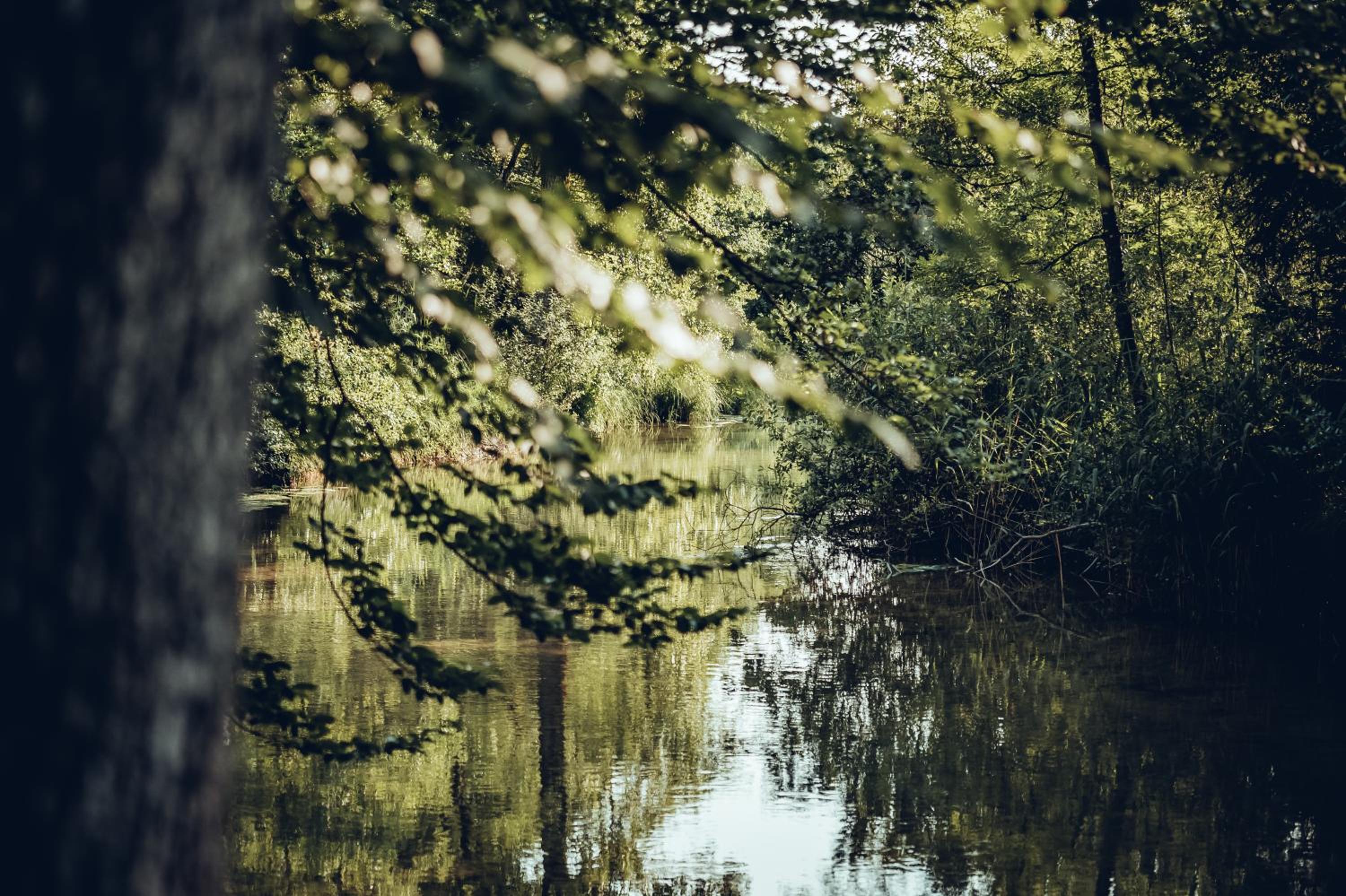Wastlbauer