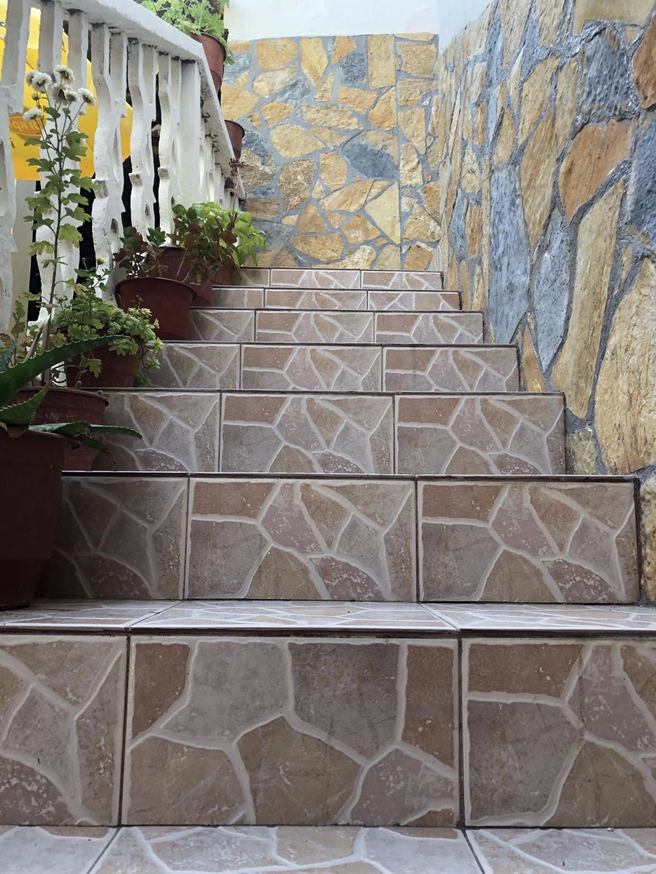 Tomor Shehu Guest House