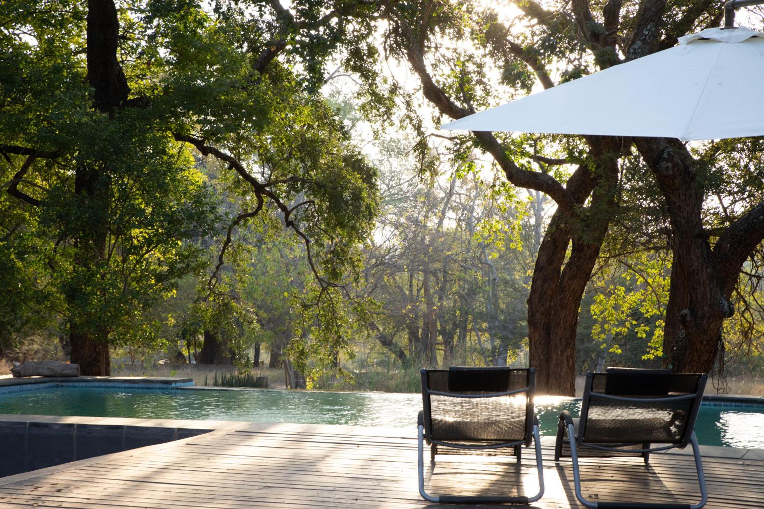 Southern Sands Eco Lodge view 5