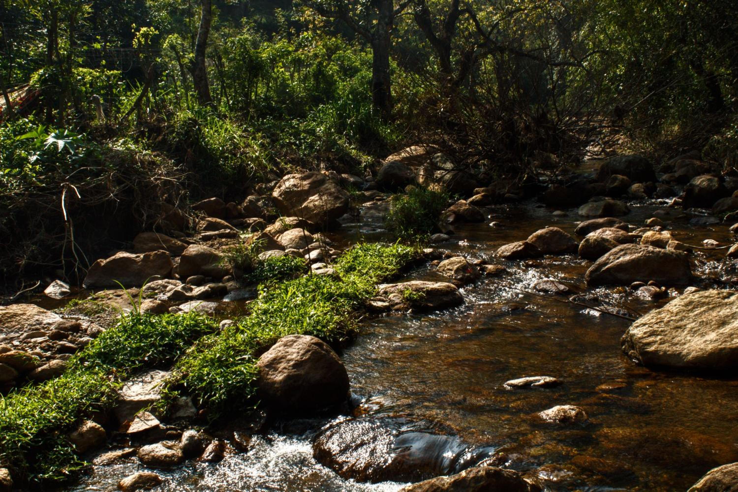 Zacs Valley Resort & Wellness Retreat Kodaikanal
