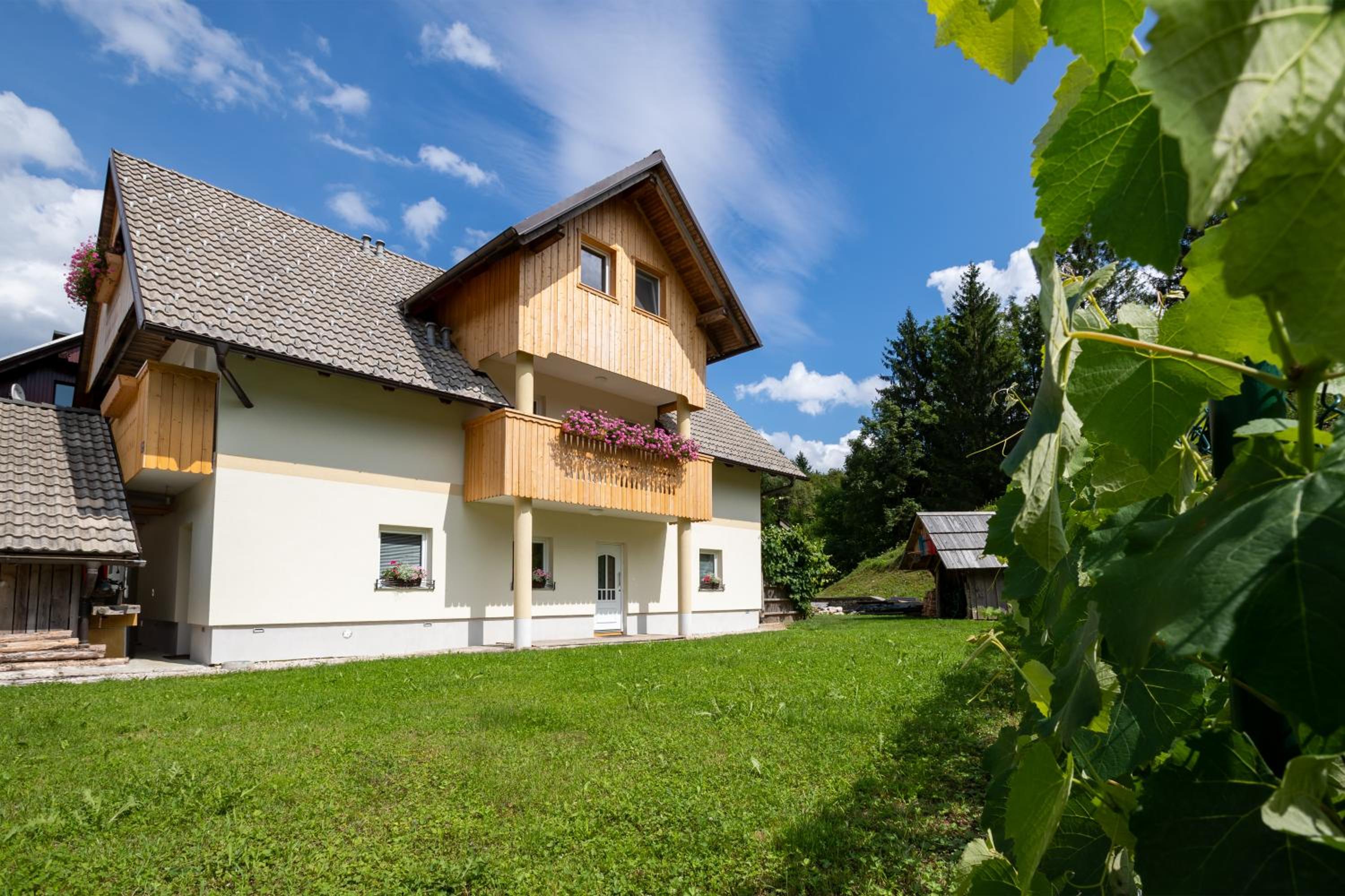 TriSa apartments Bohinj — photo 45