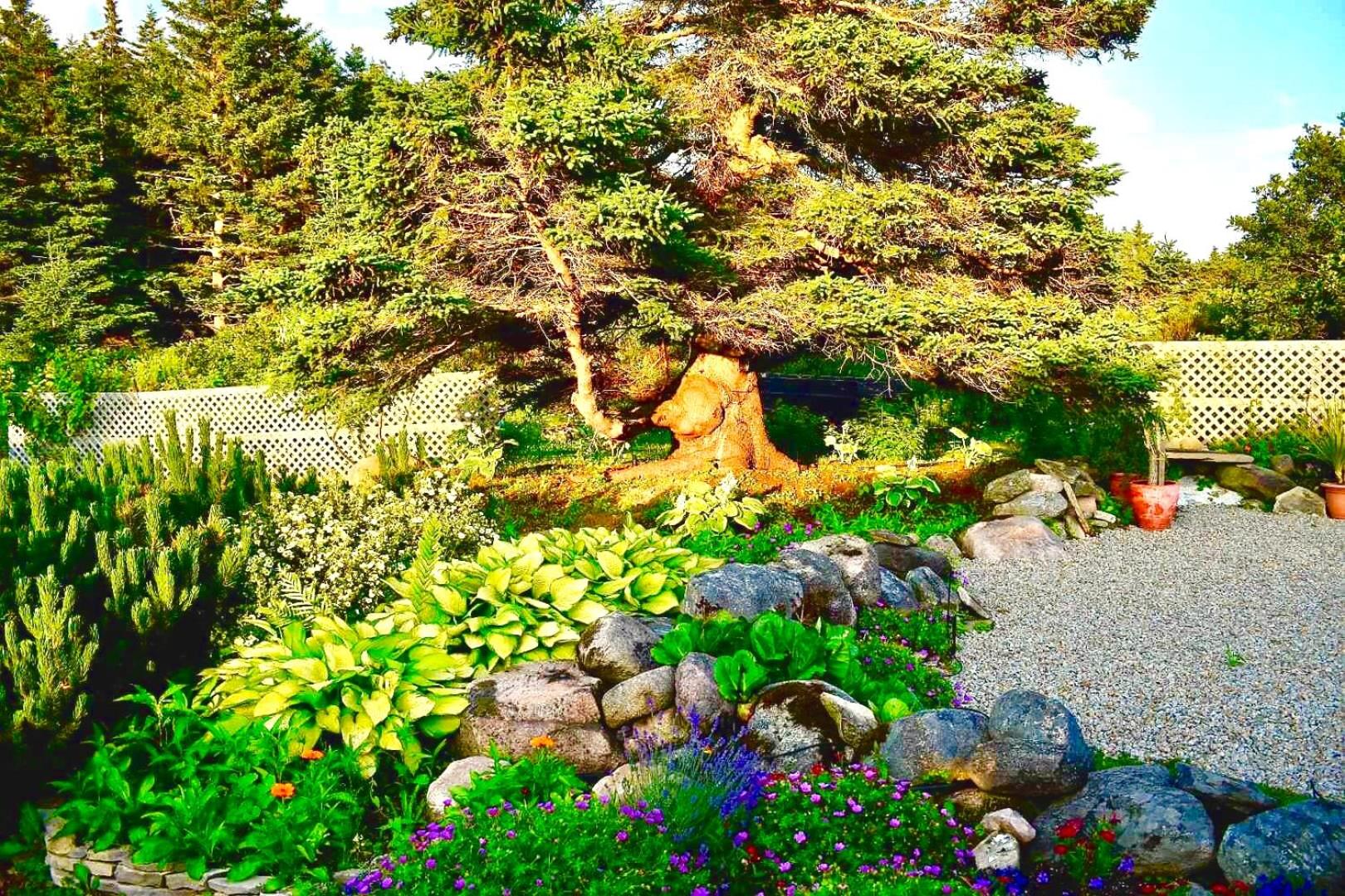 garden