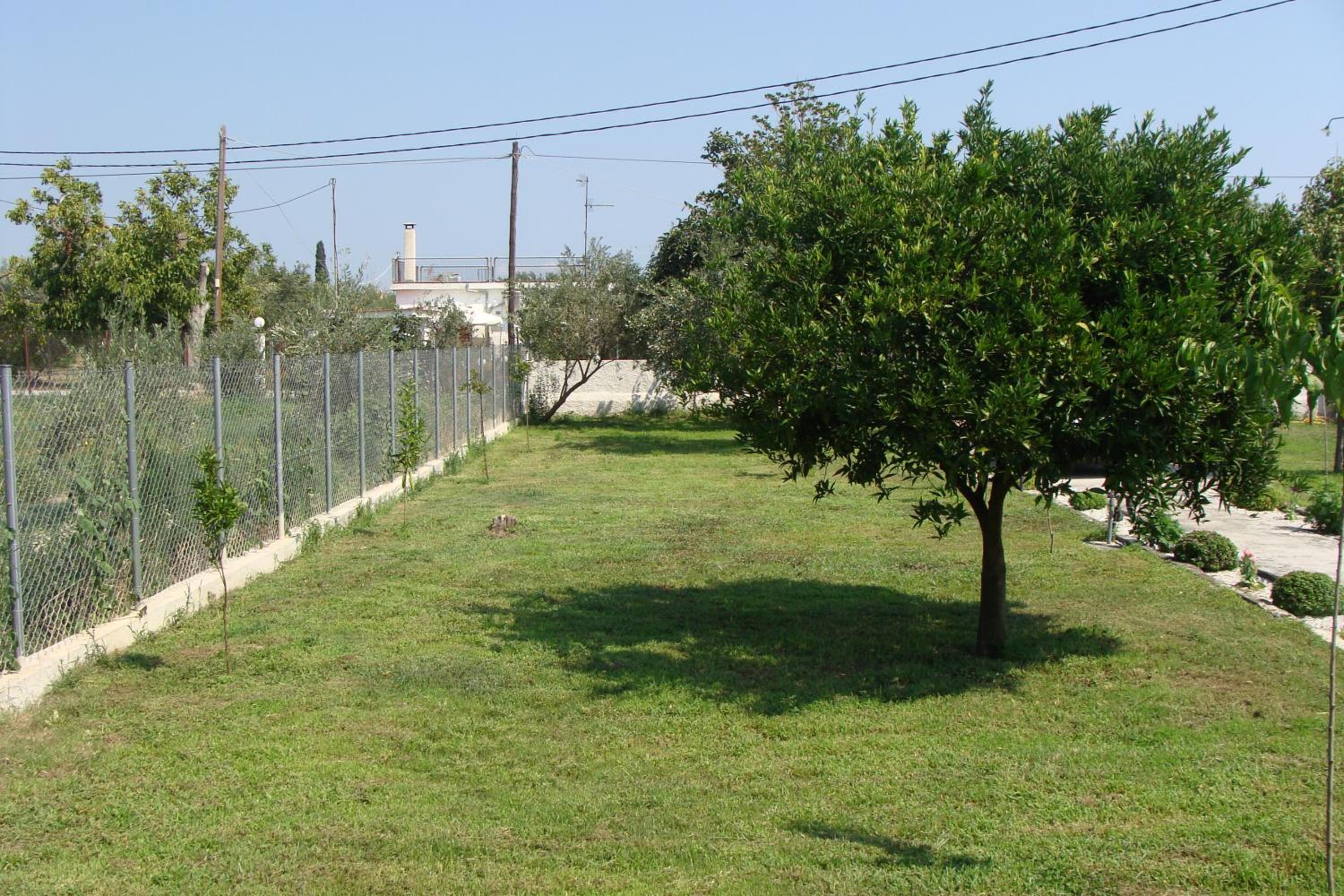 Photo 26
