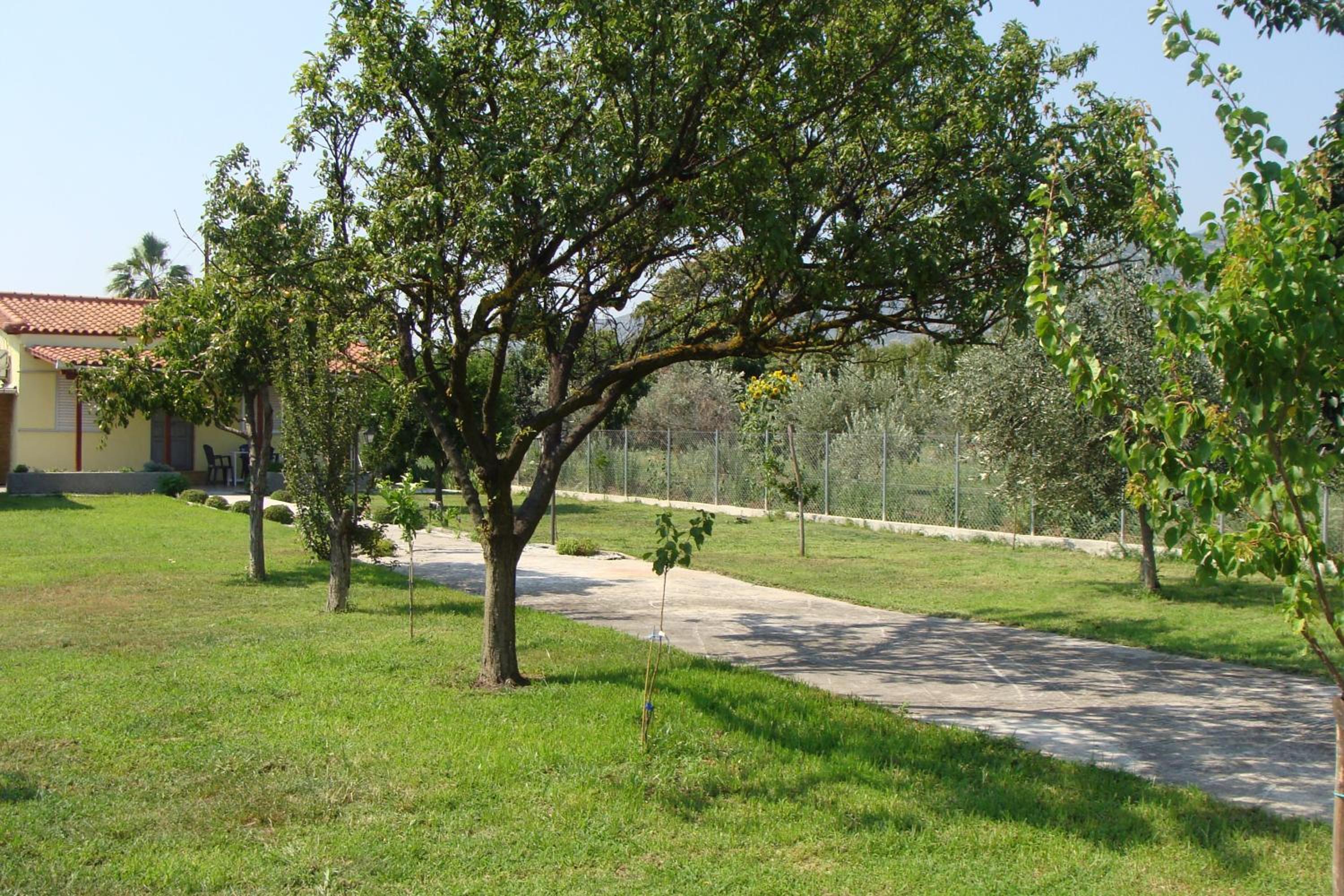 Photo 27
