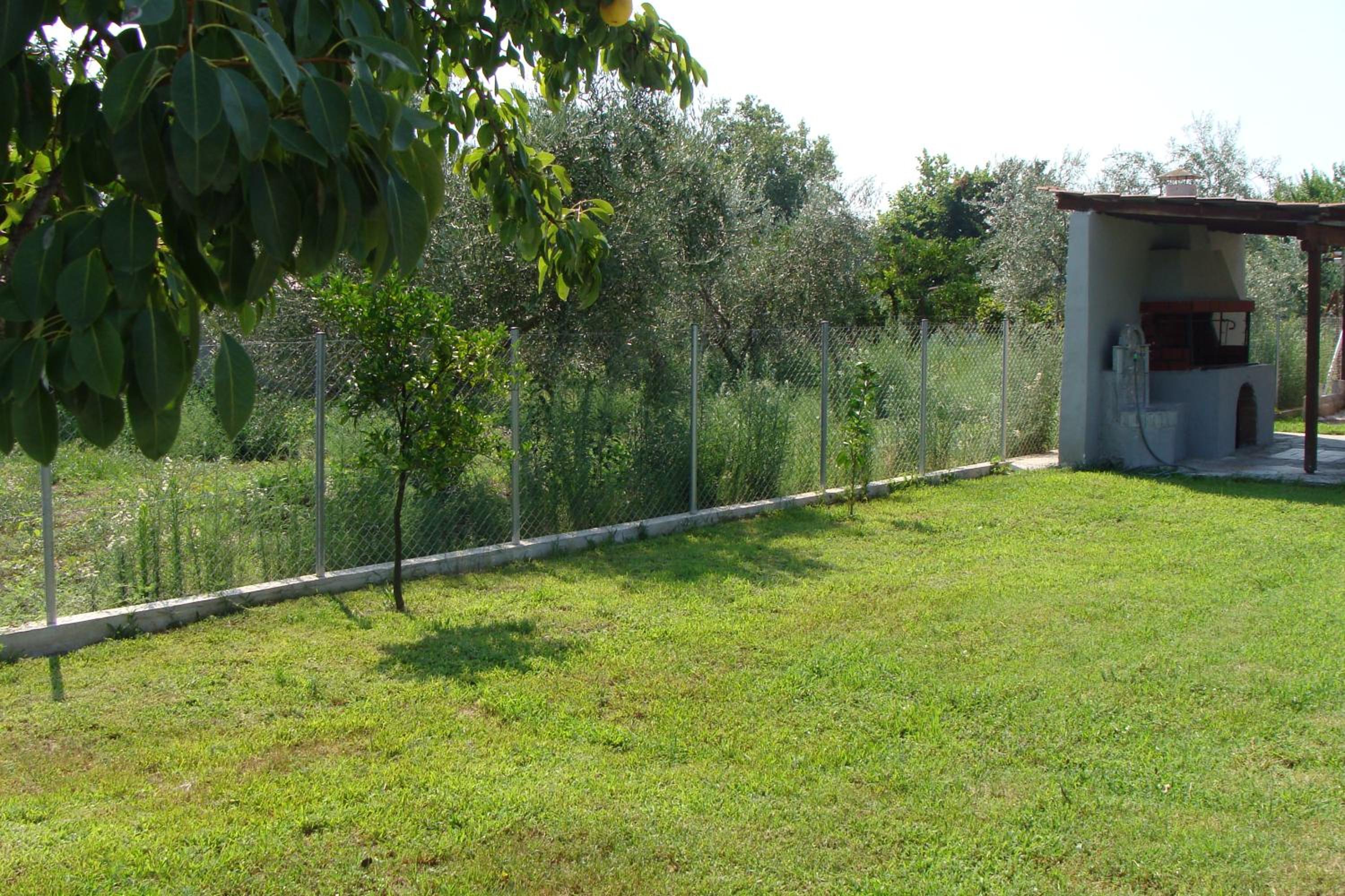 Photo 31