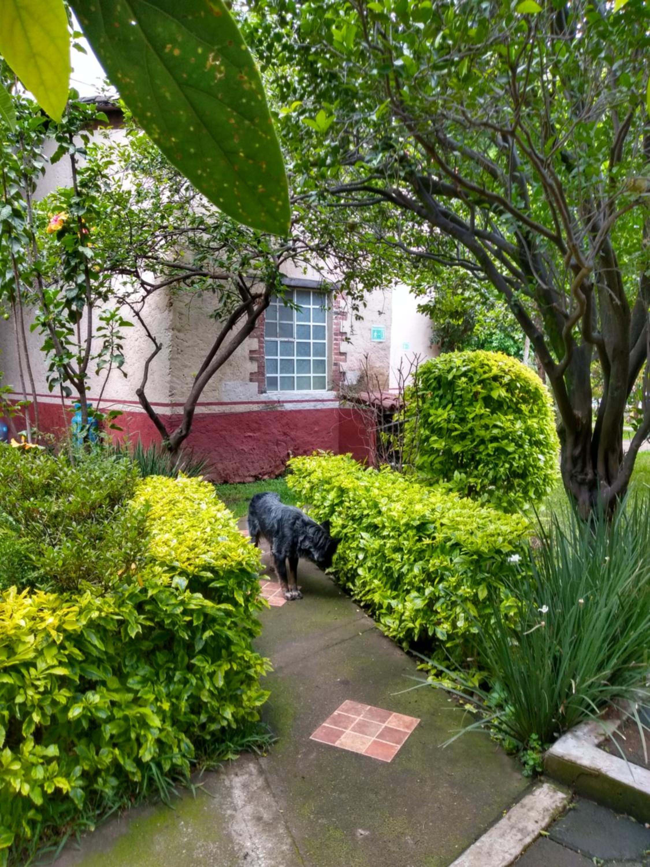 Hotel Casa Pomarrosa - Property Image 35