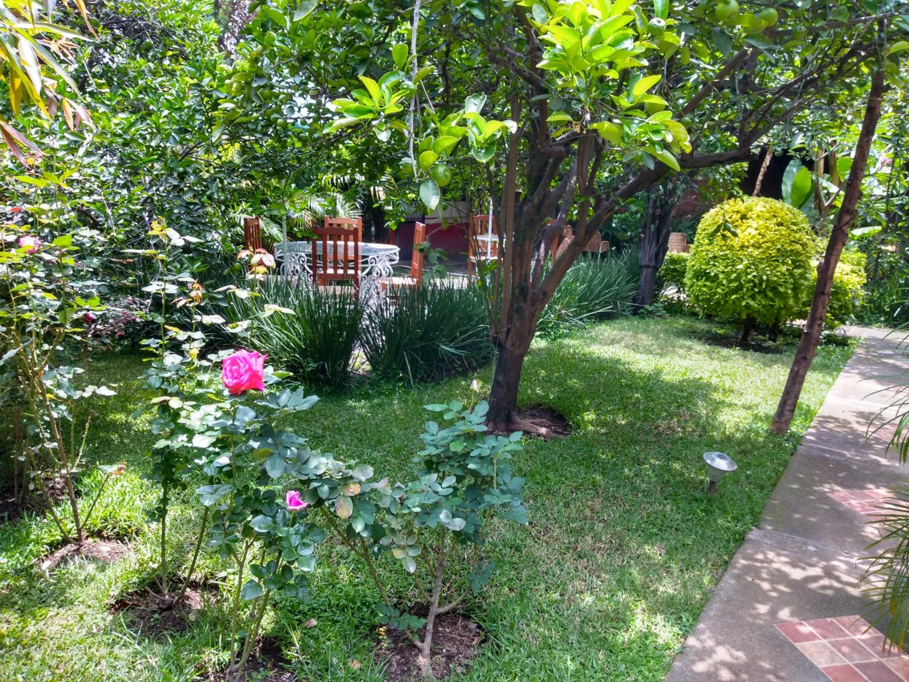 Hotel Casa Pomarrosa - Property Image 31