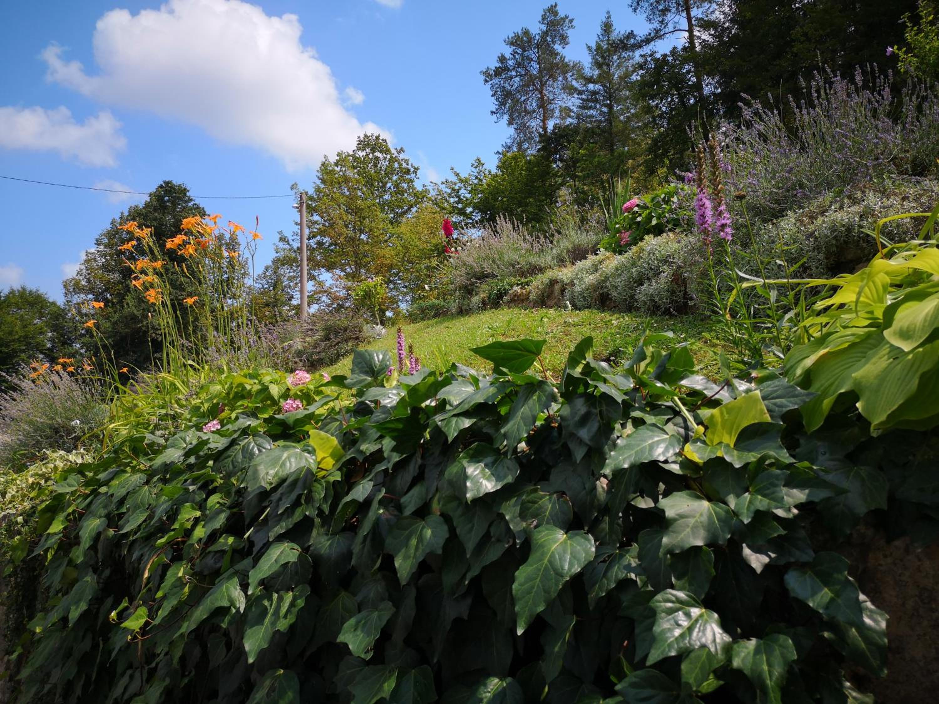 Photo 41