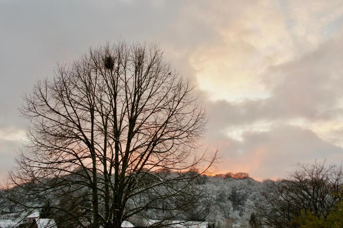 Gîte Chez Dimanche, photo 19