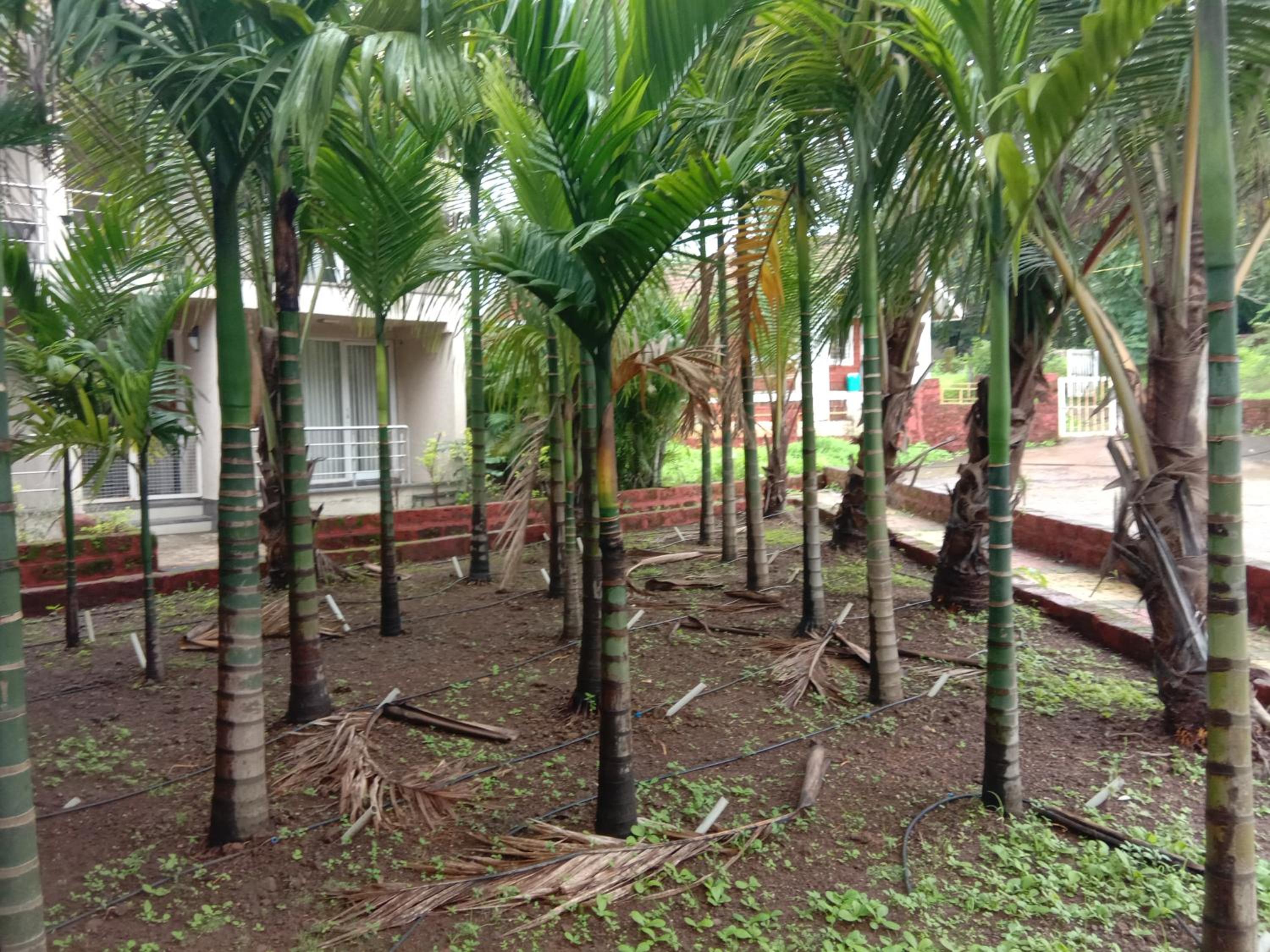Luxurious AC apartment in Tamhini ghat, Devkund & Kolad rafting view 5