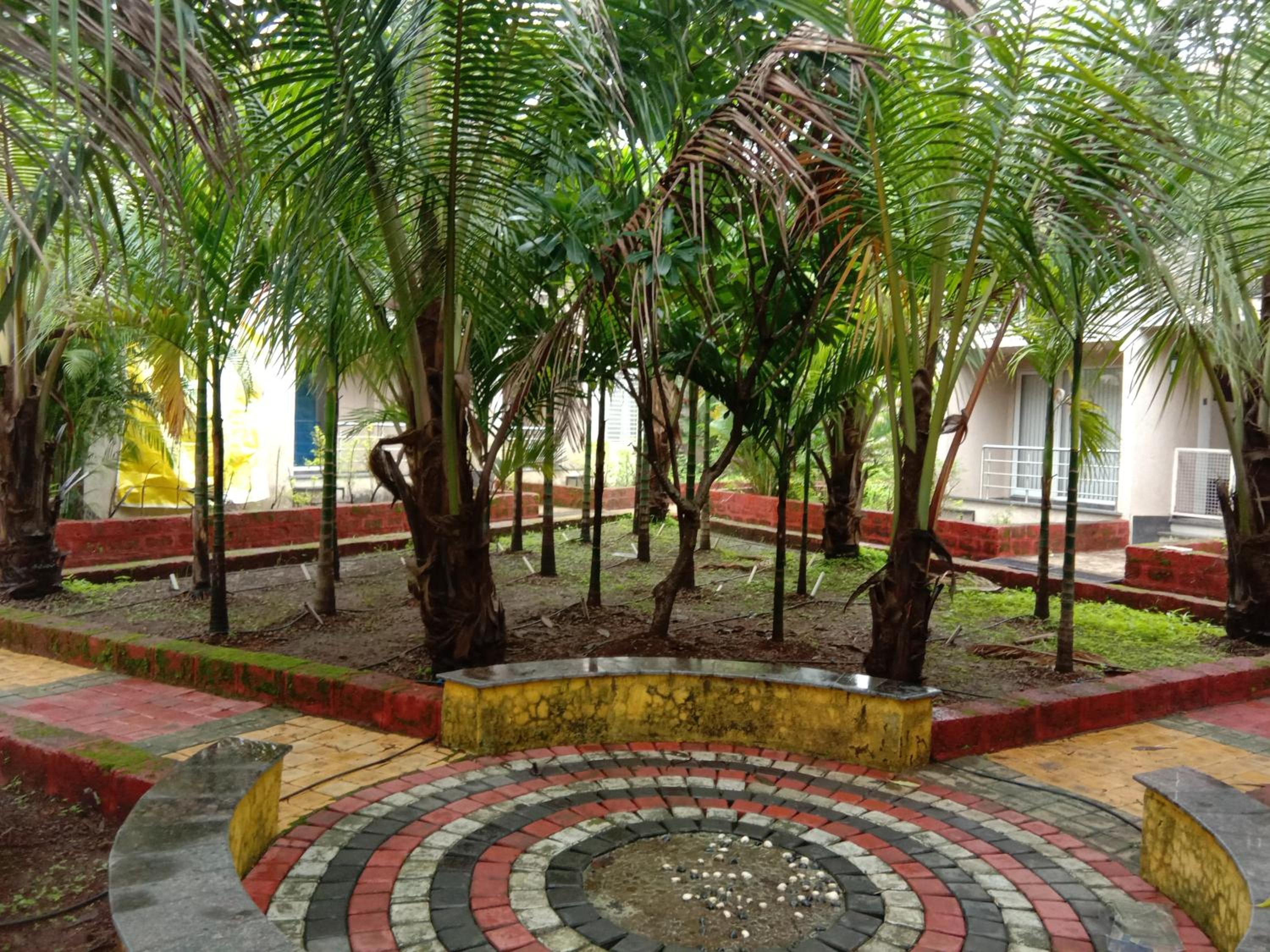 Photo 6