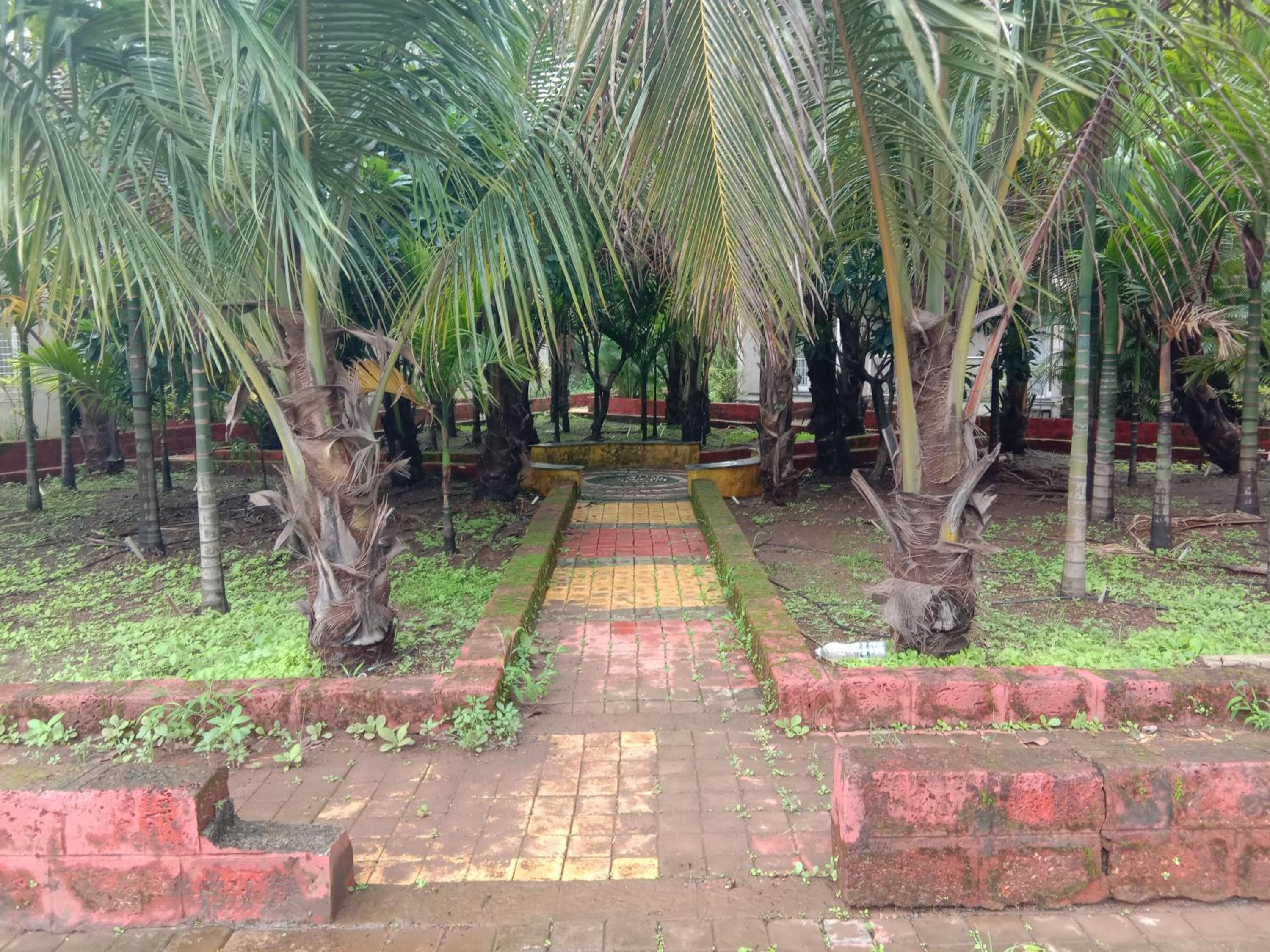 Photo 7