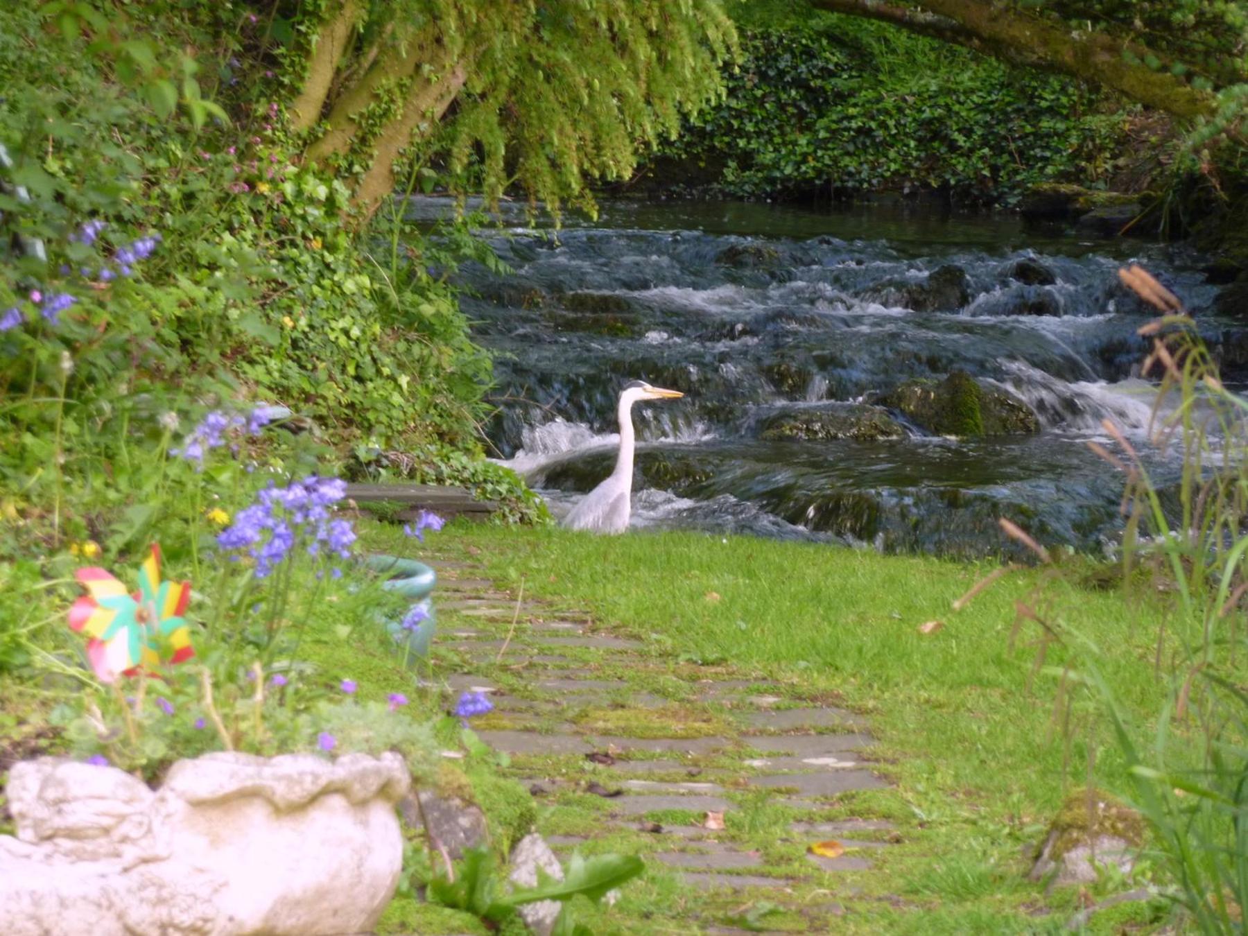 Yr Hen Felin - The Old Mill B&B