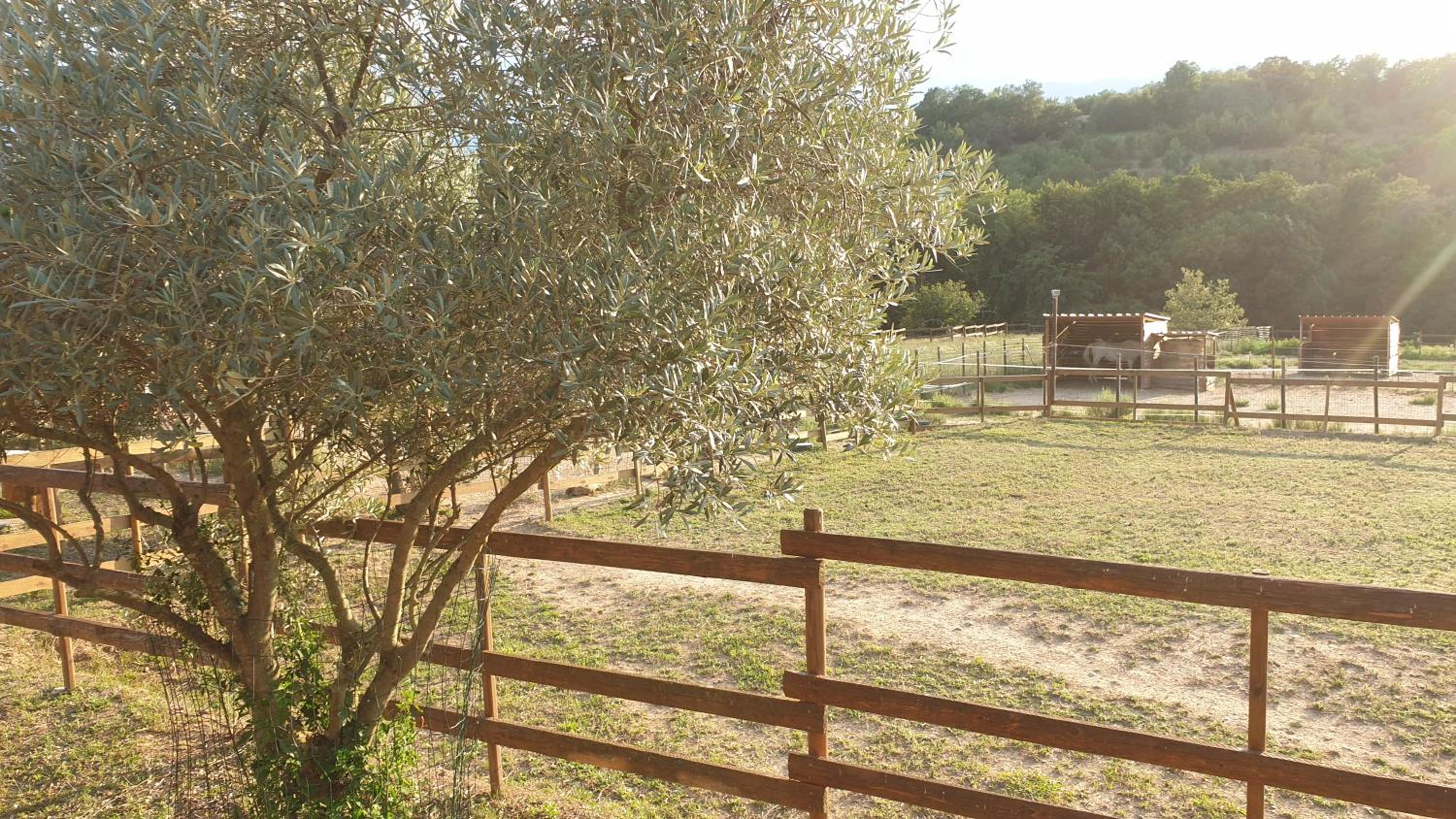 Chambre d'hôtes Le Petit Ranch, photo 29