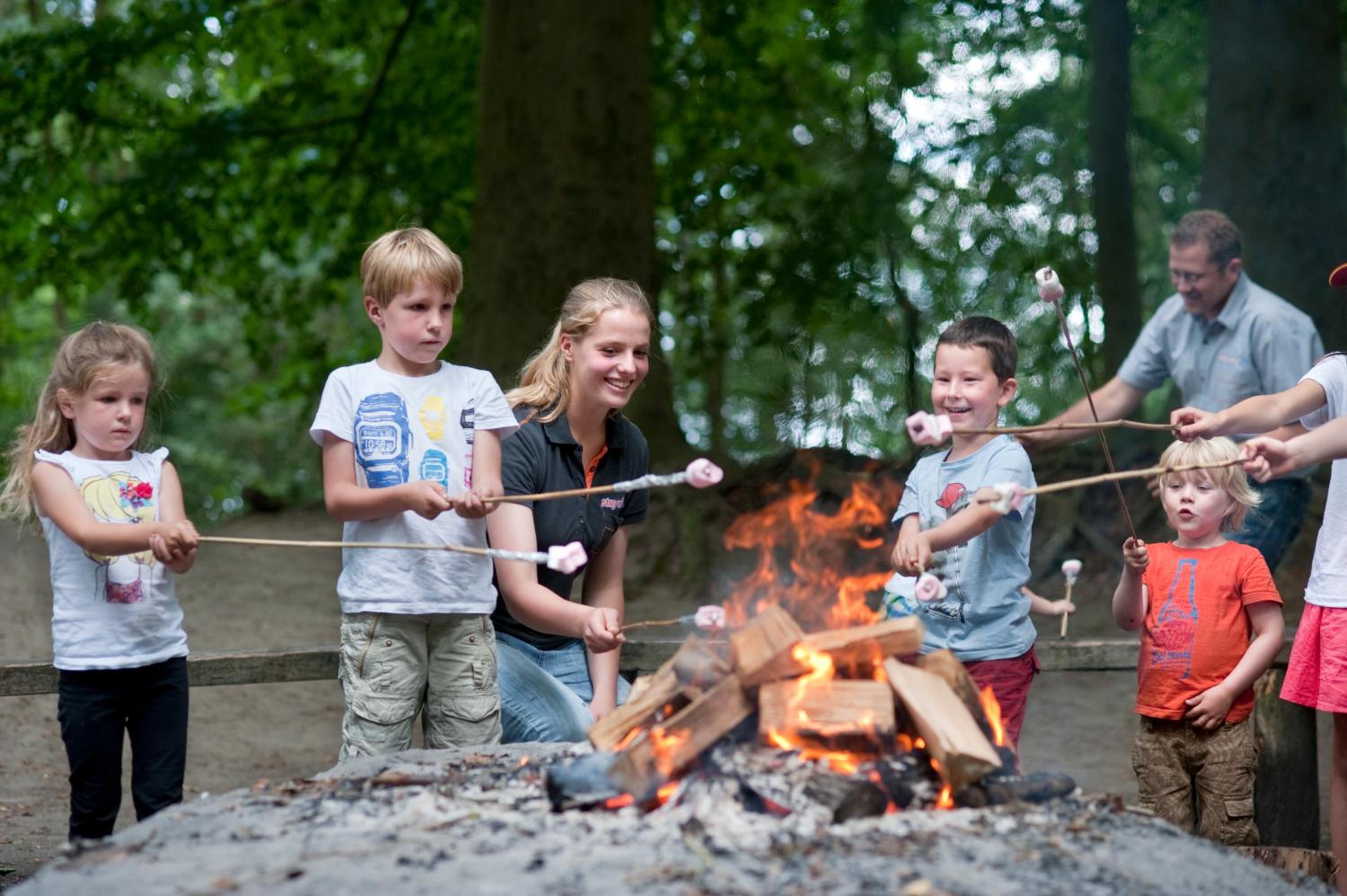 Stayokay Hostel Gorssel - Deventer