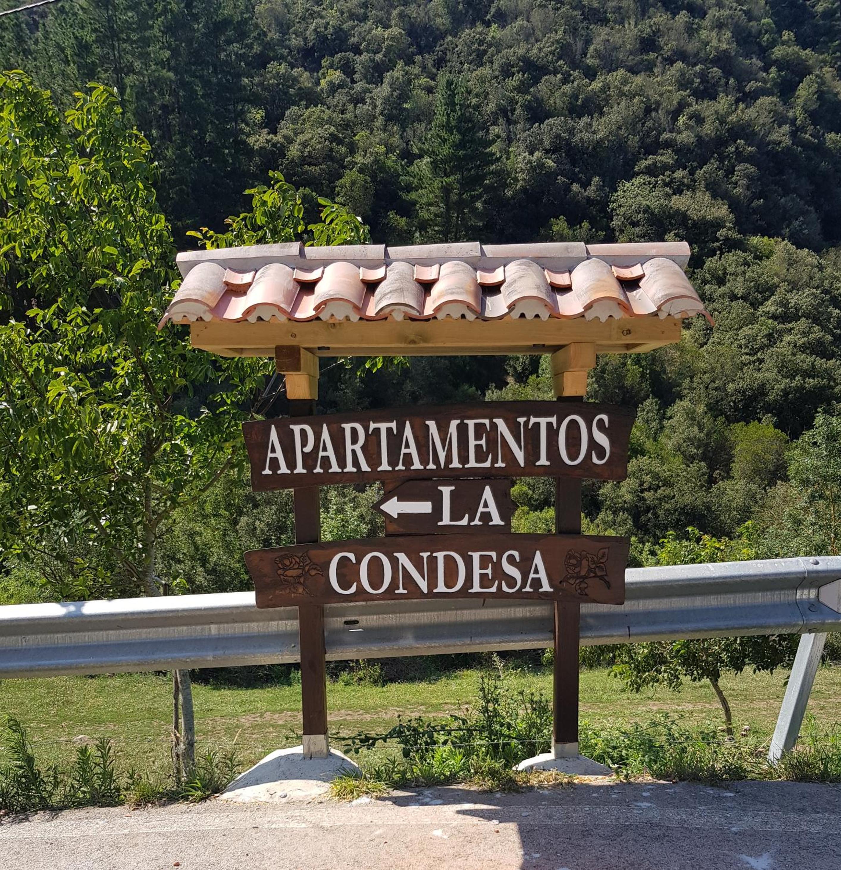 Apartamentos La Condesa view 4