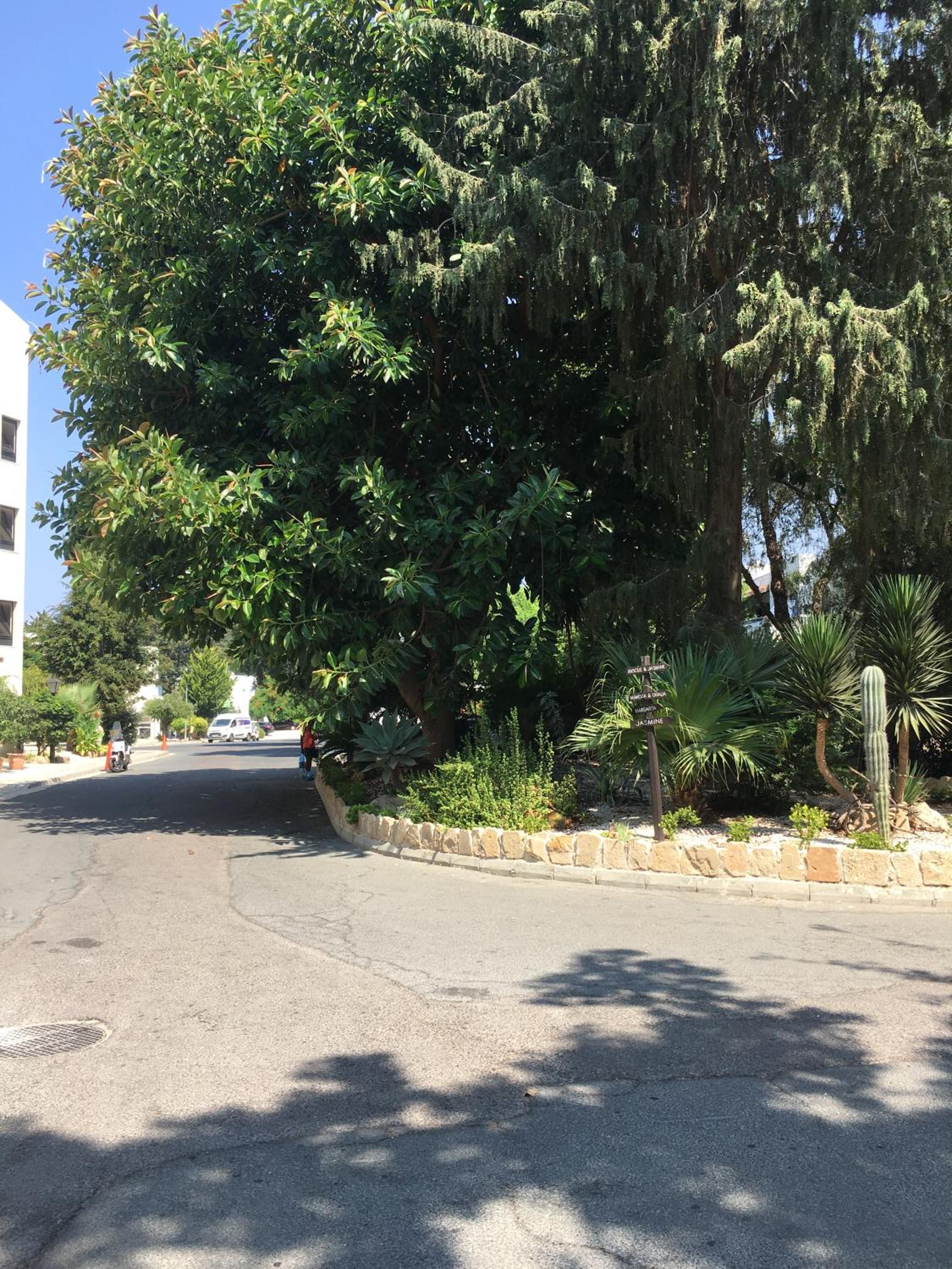 Paphos Gardens-Apt suite
