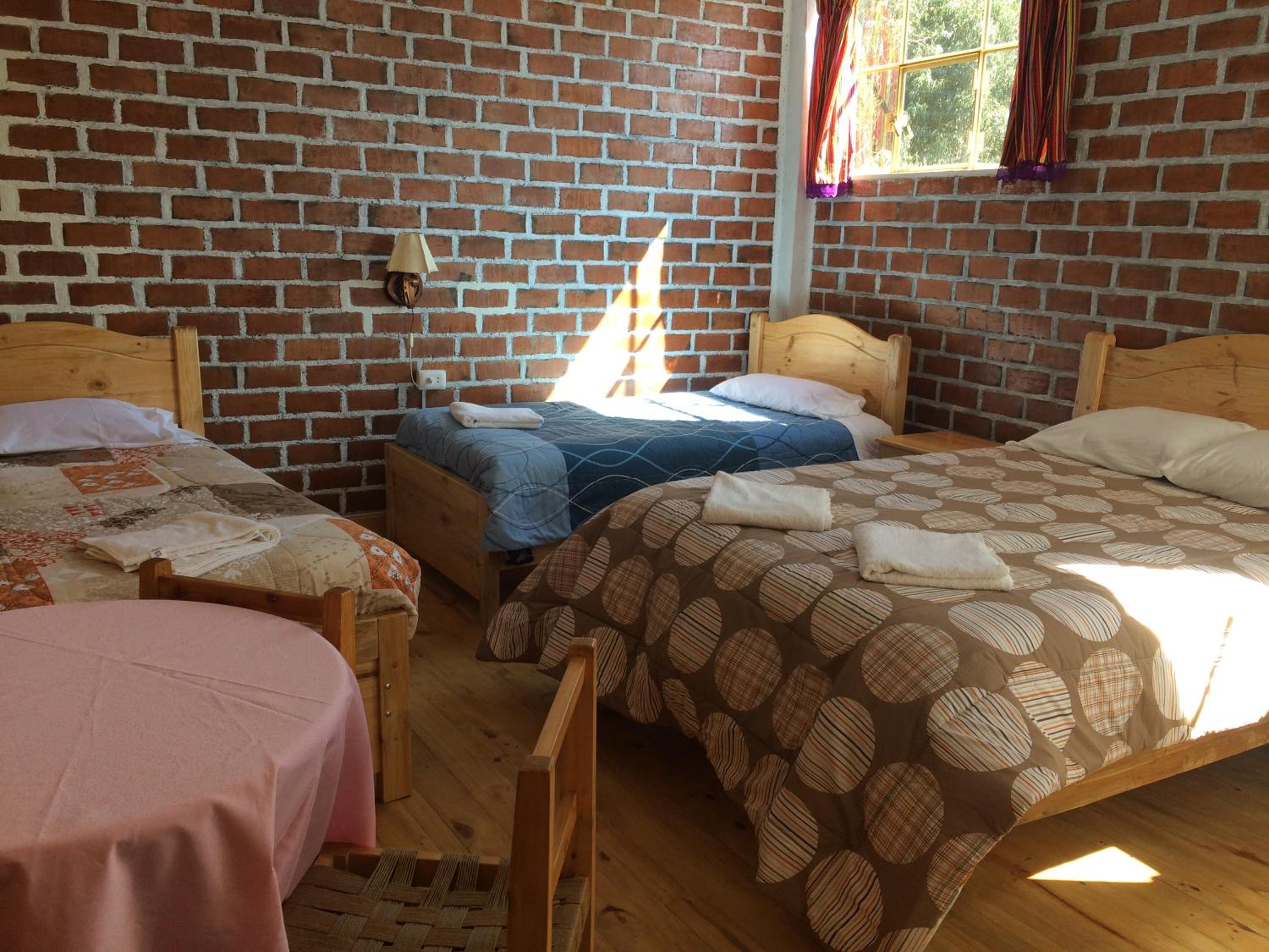 Photo 51