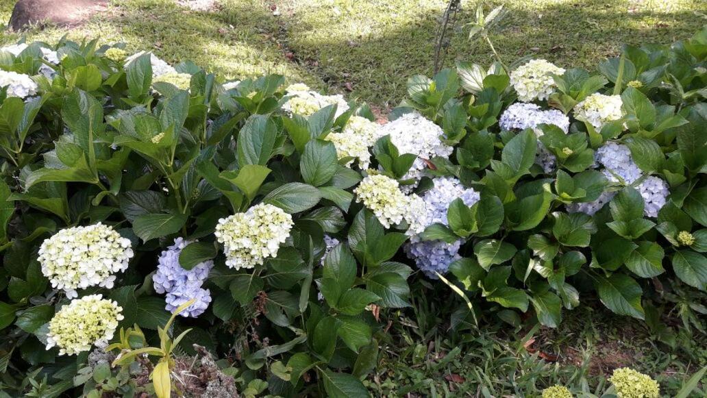 Sitio Recanto da Paz Chalés - casa e chalé para temporada