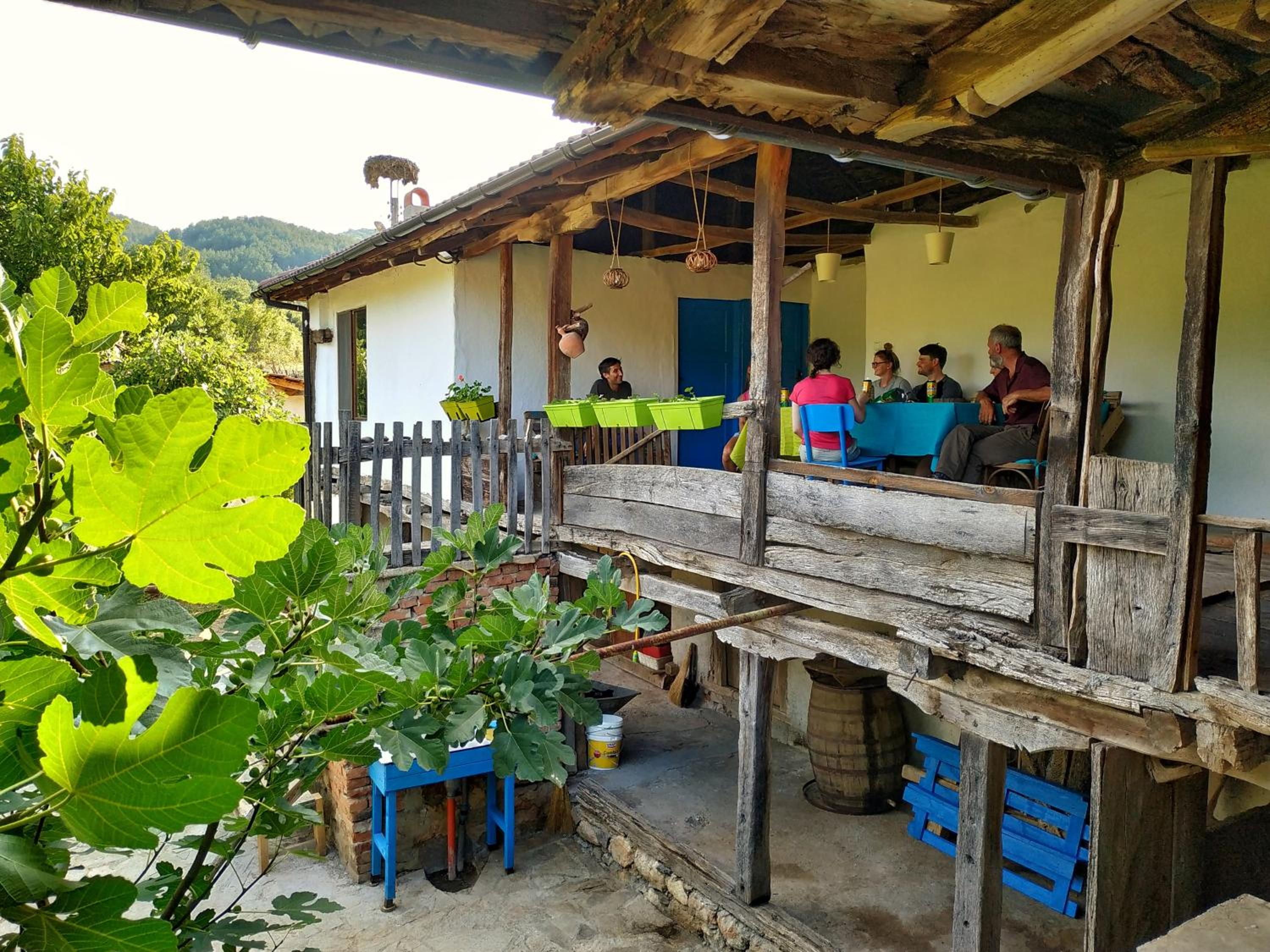 The Old Nest
