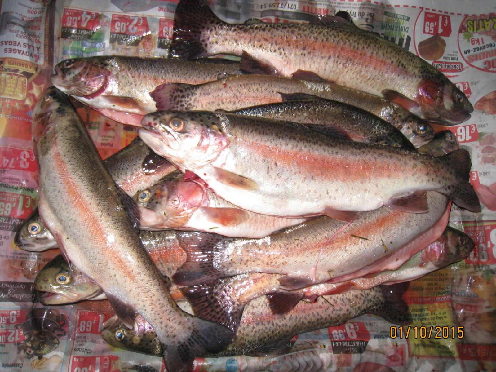 Florennes Gîte neuf 150 M2 devant un grand lac privé de 2 hectares poissonneux au milieu des bois