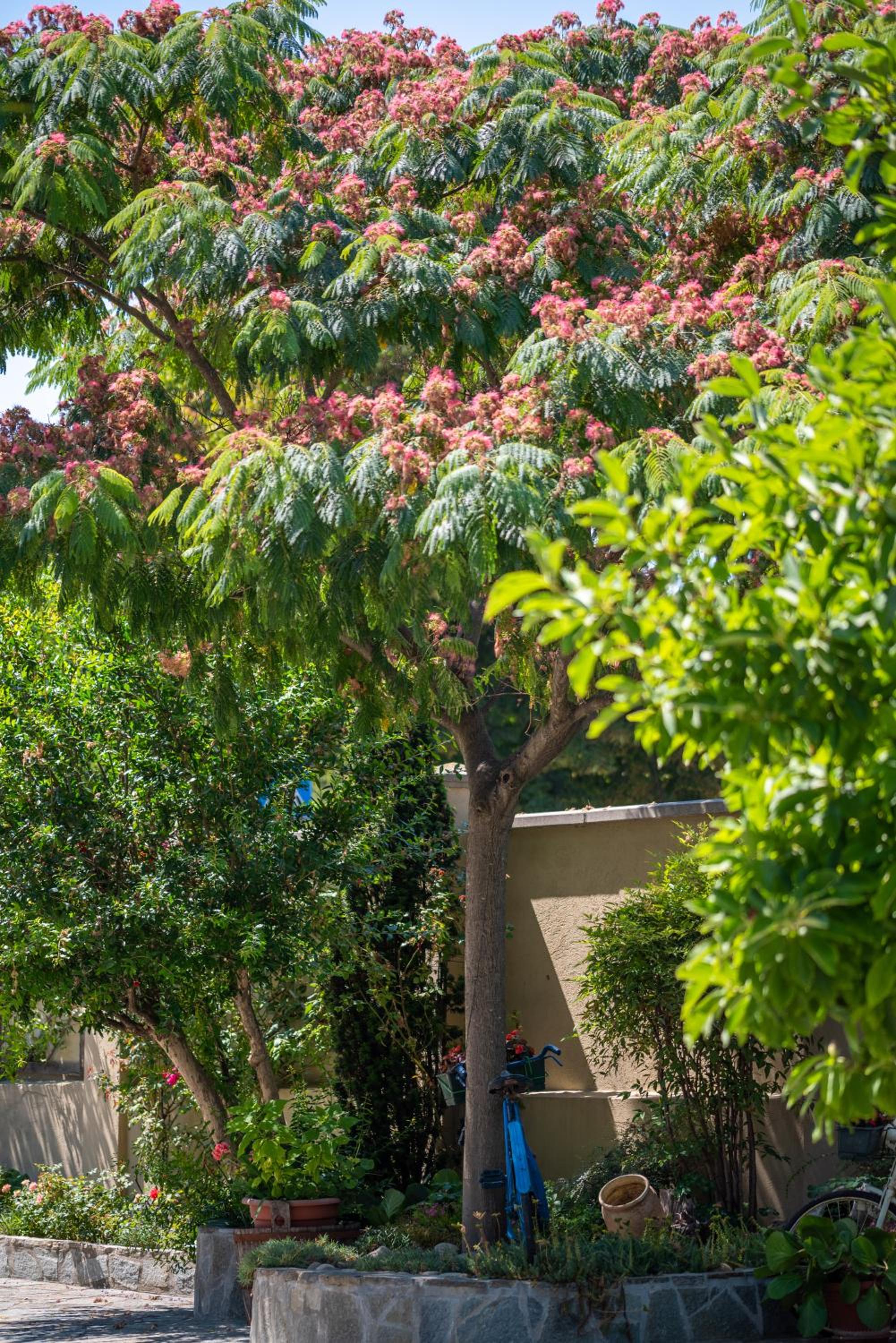 Villa Mery