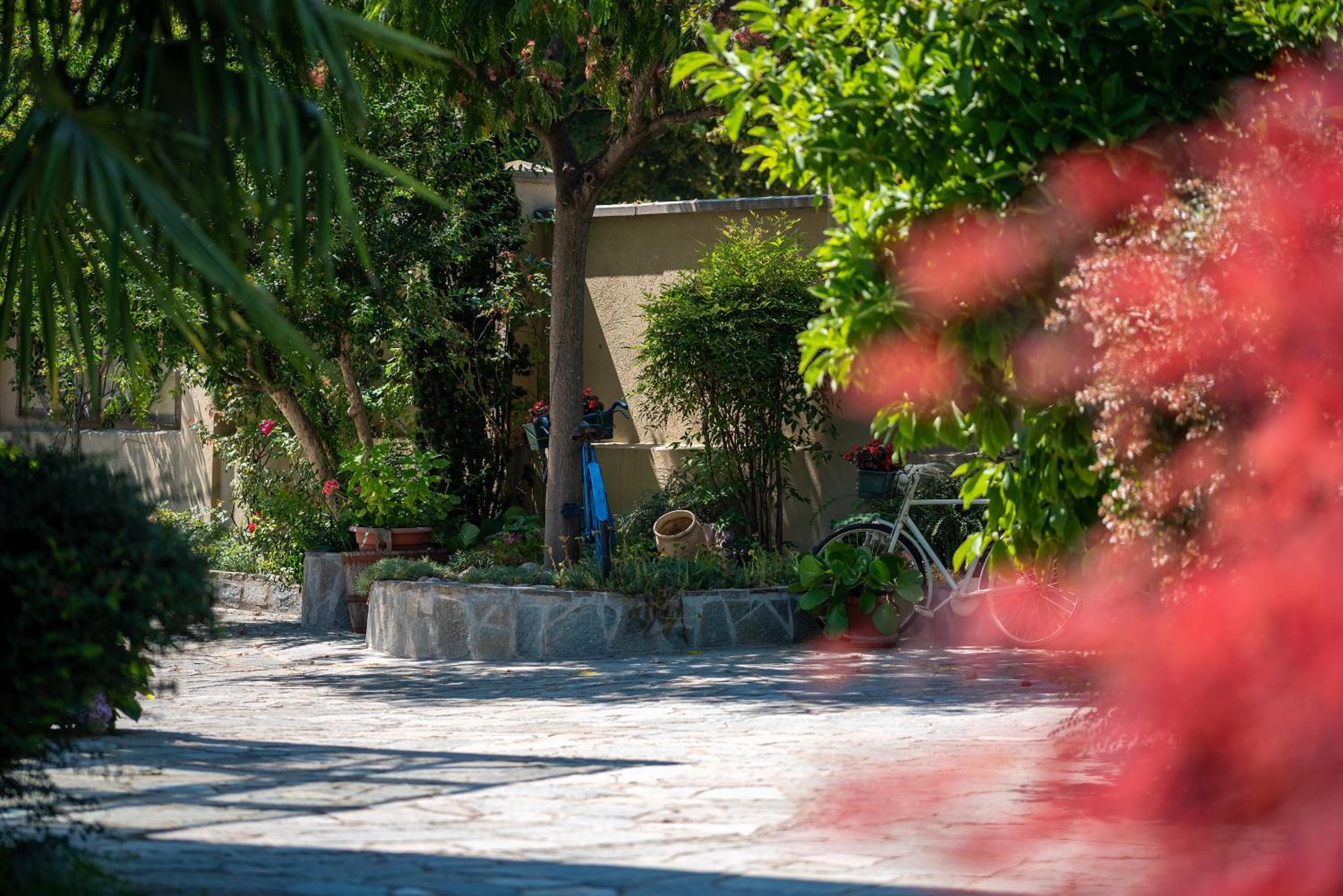 Villa Mery