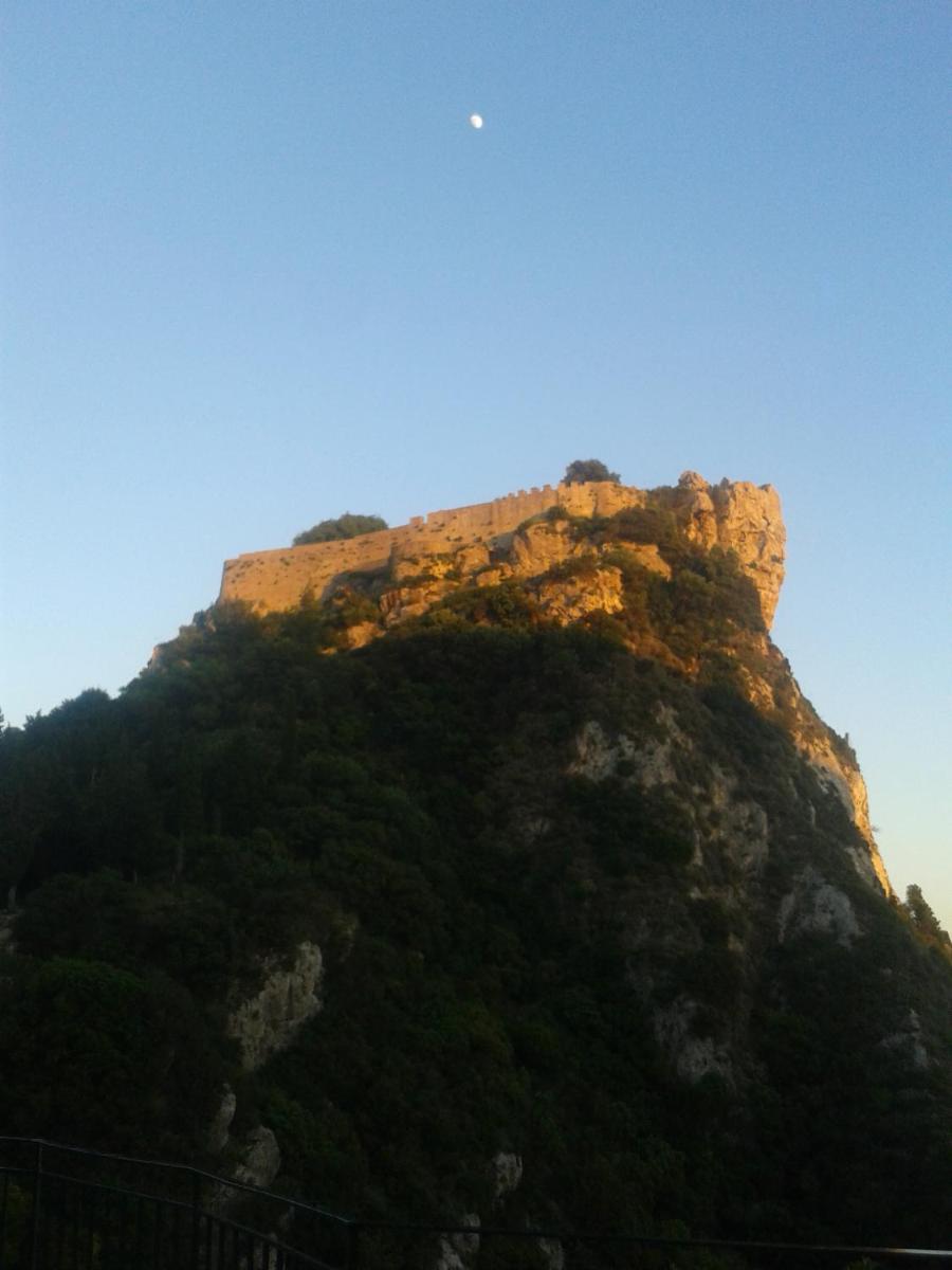 Photo 47