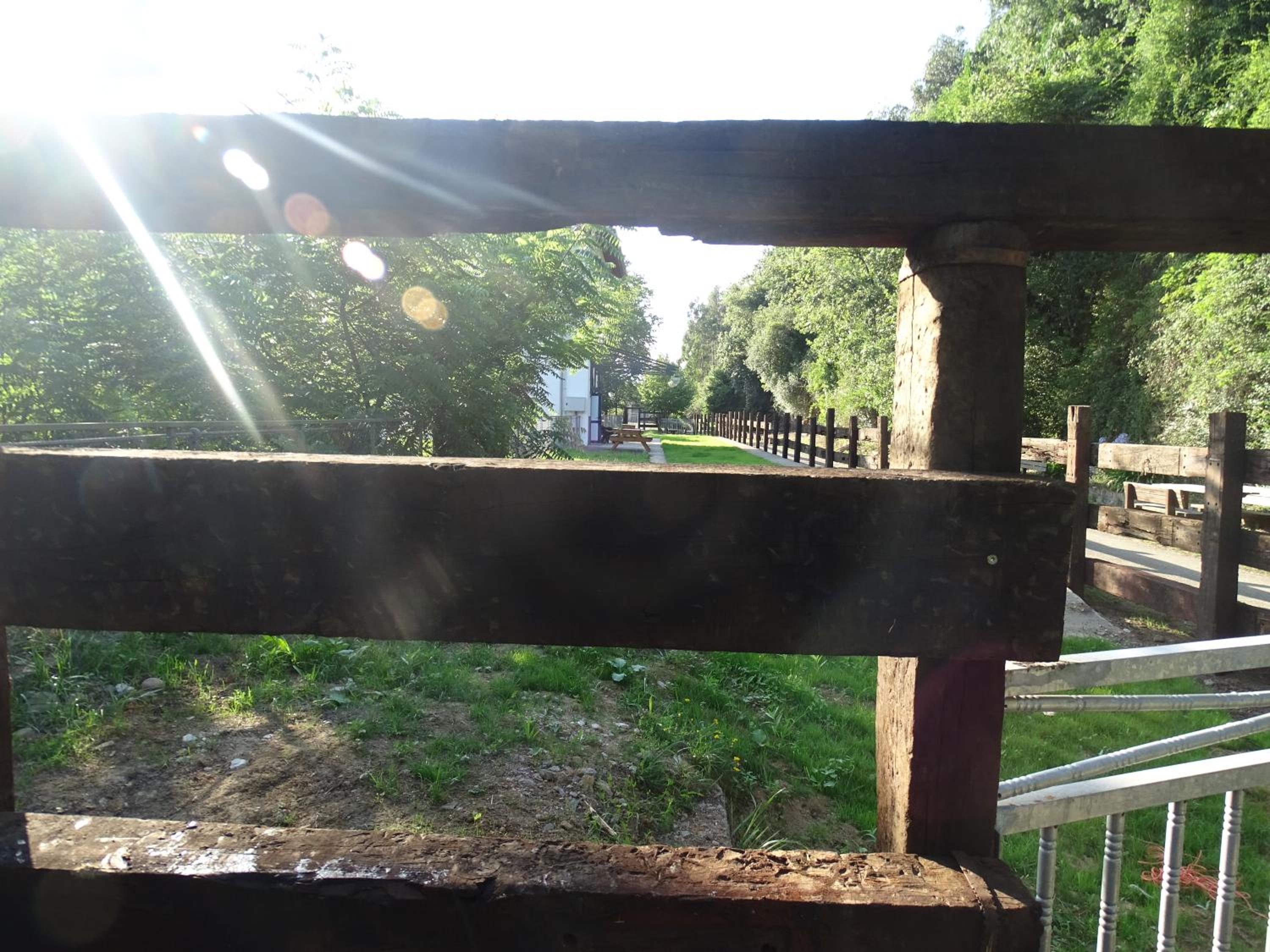 Photo 13