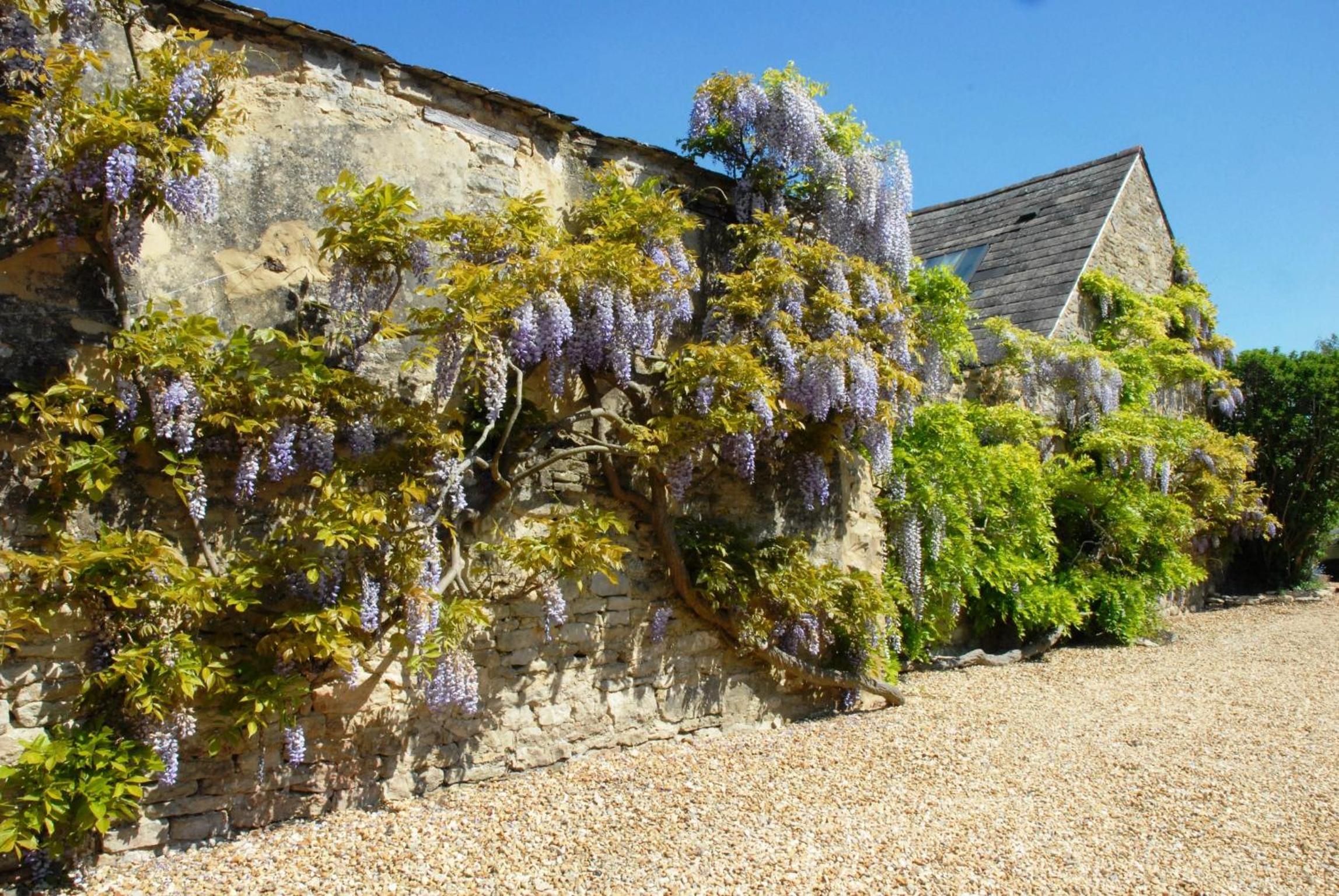 Woodstock Vacations - Marlborough Arms - Property Image 7