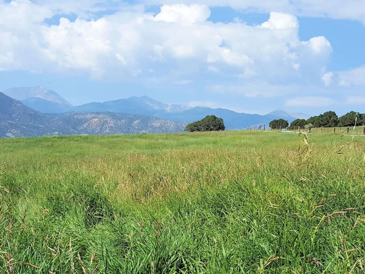 Private Retreat on Working Horse and Cattle Ranch view 3