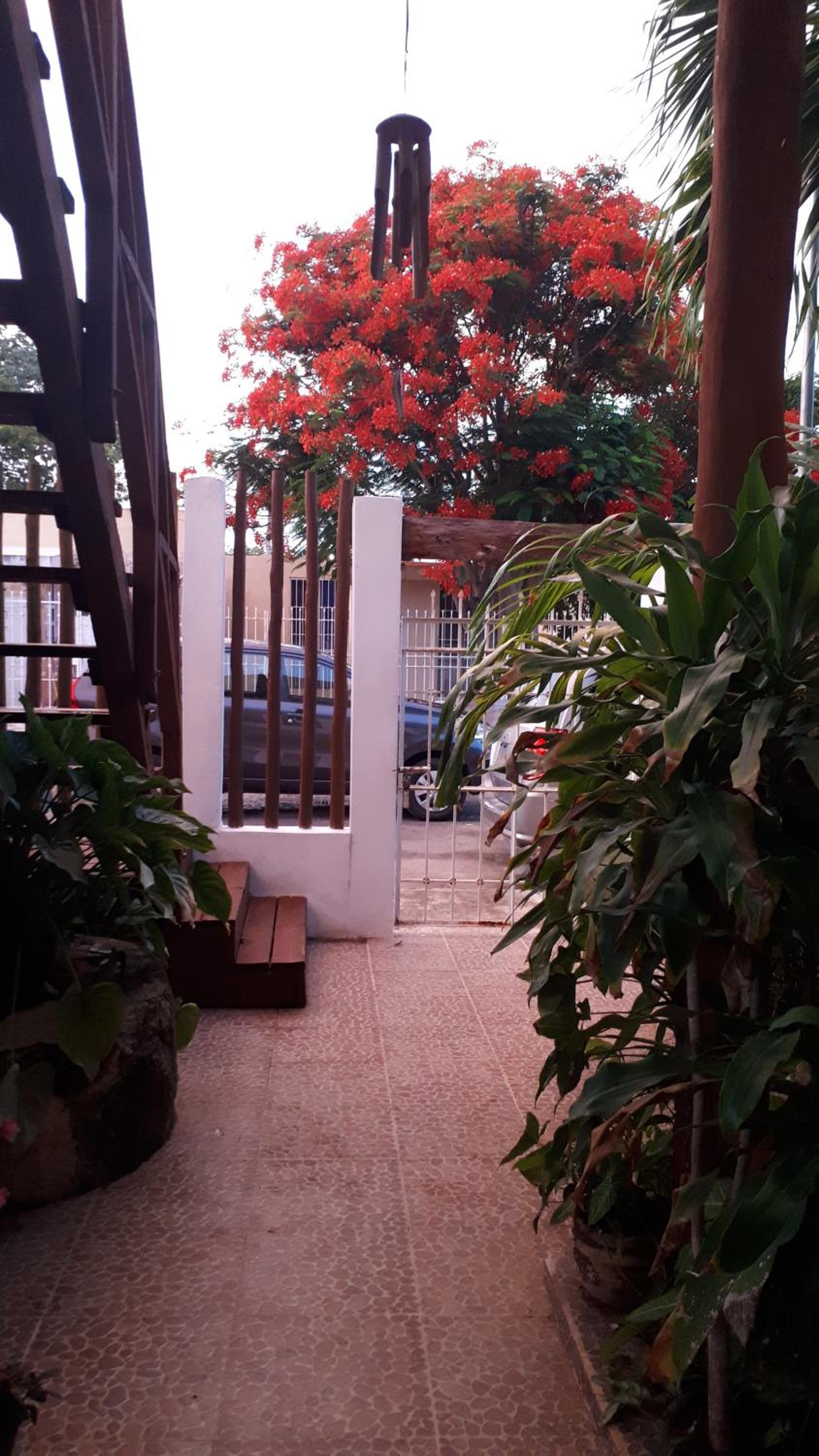 Casa Nona Azul