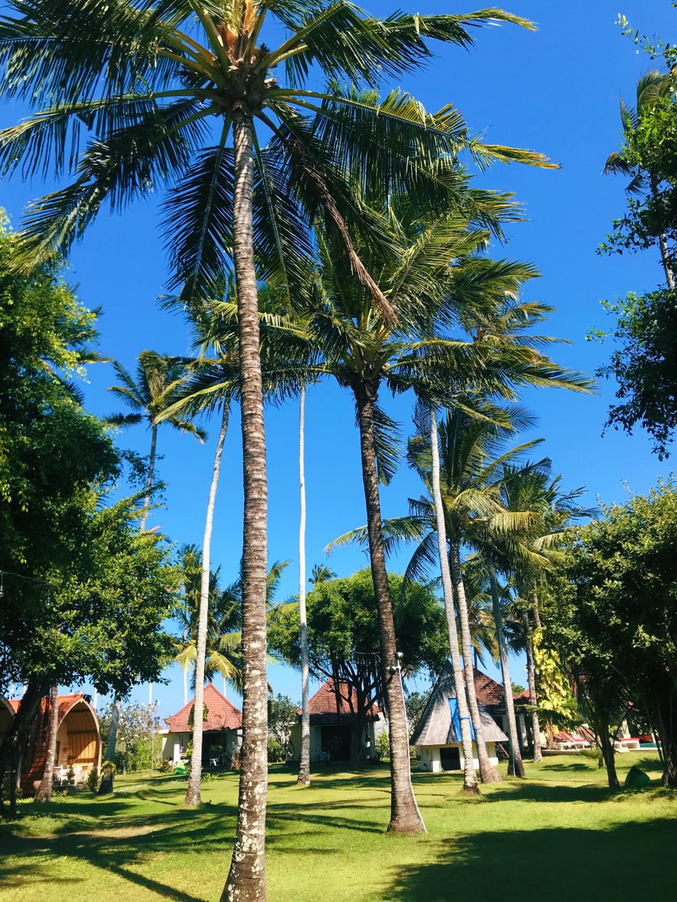 Puri Rinjani Bungalows view 4