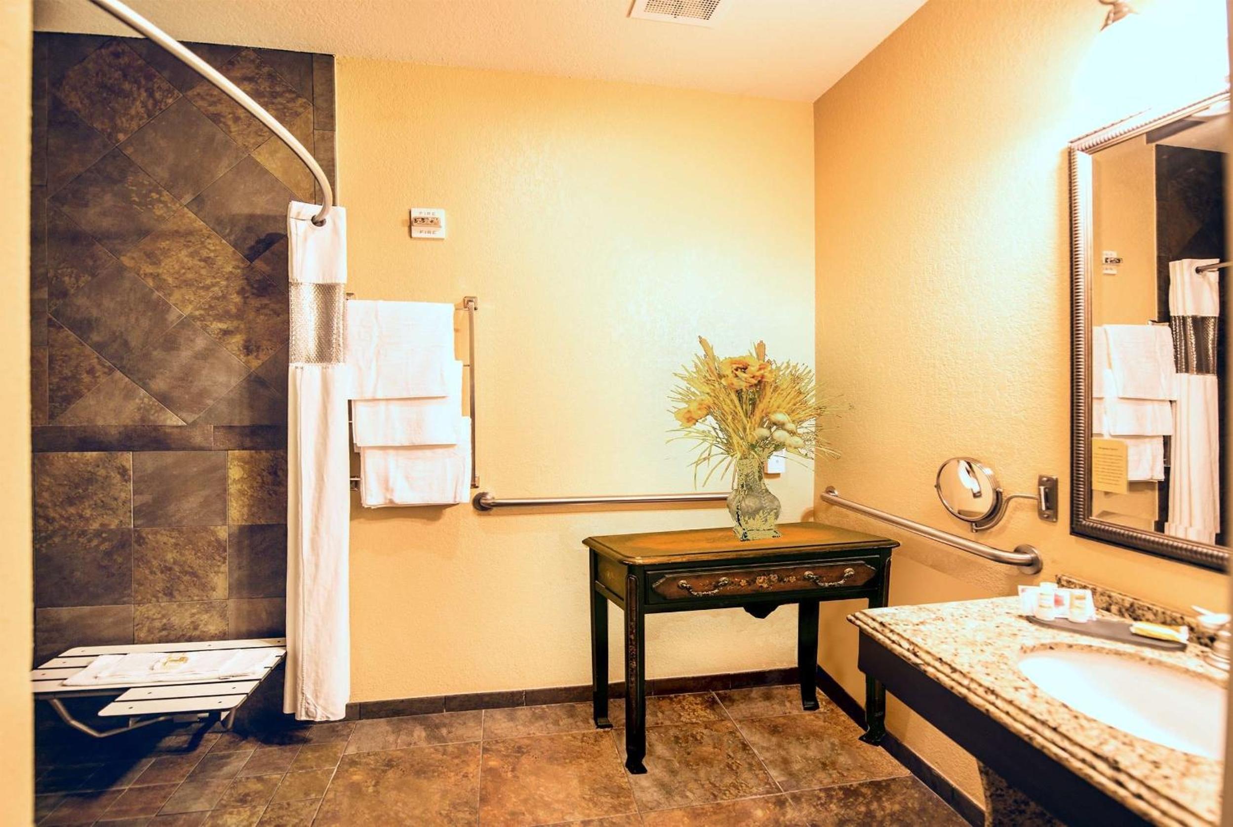 Marble Falls Vacations - La Quinta by Wyndham Marble Falls - Property Image 100
