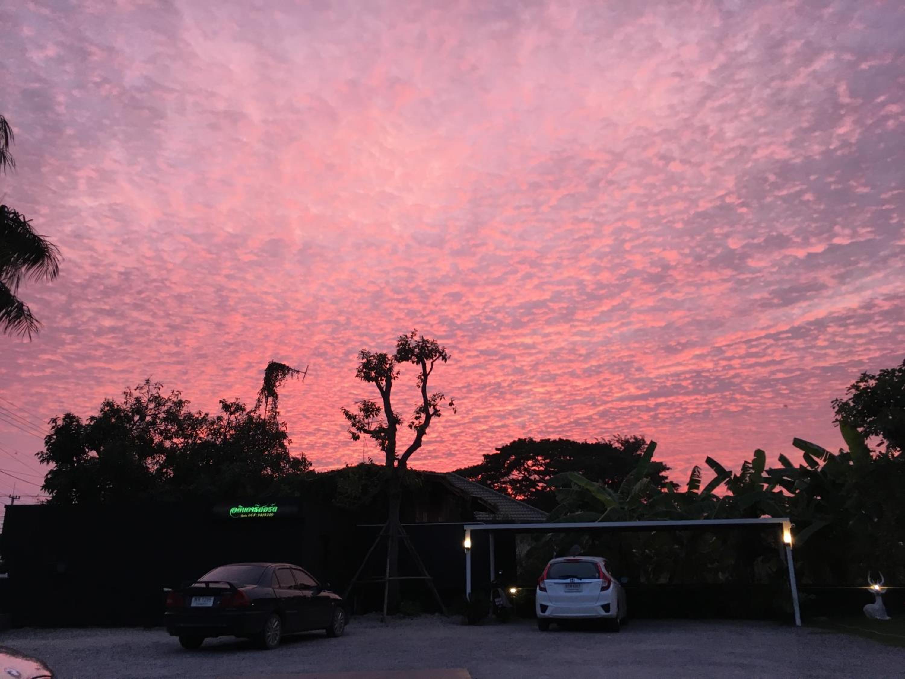 Alinda Resort