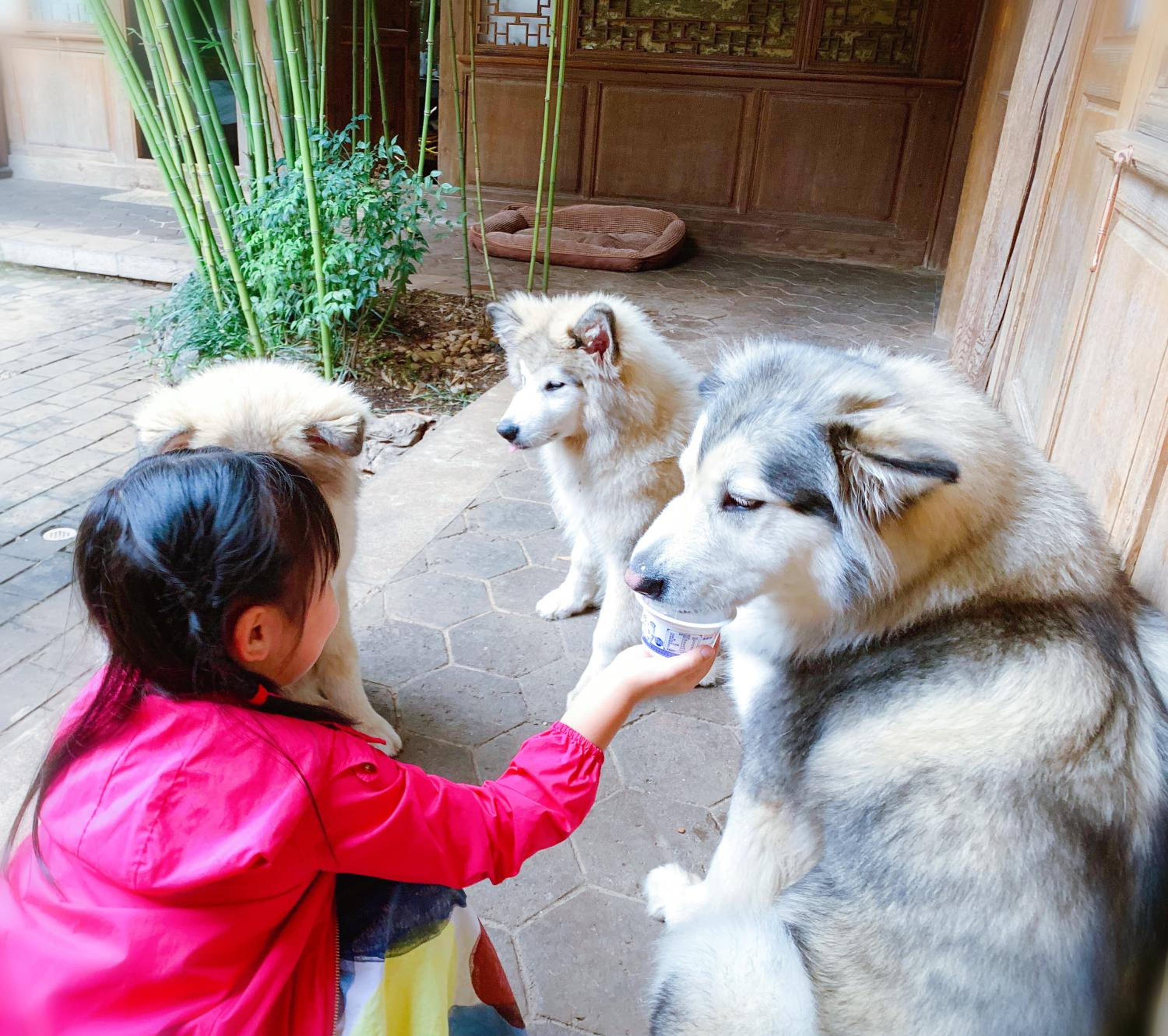 夕露小榭古城南门店 Xilu Xiaoxie Inn Old Town Lijiang