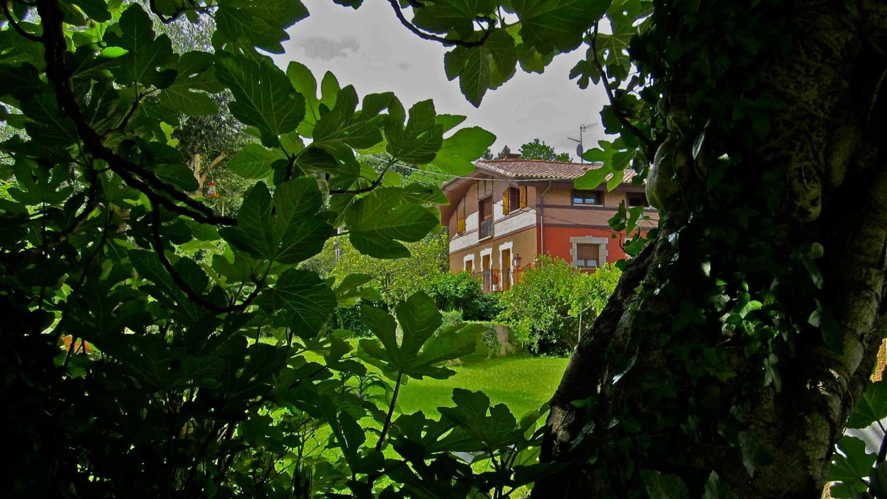 Labeondo