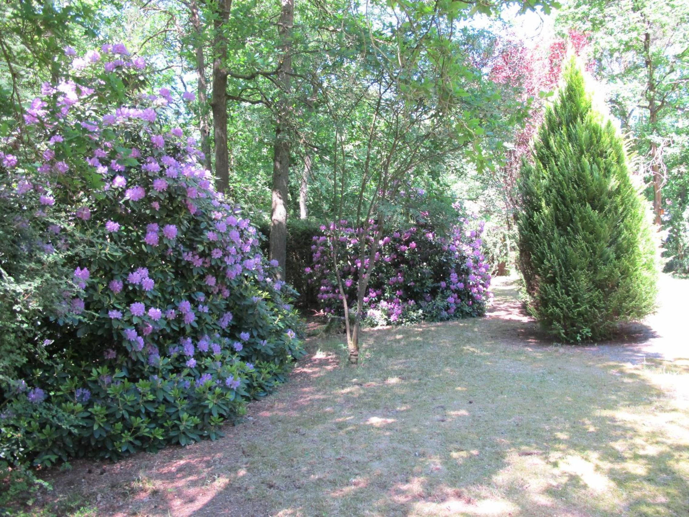 Rossis Haus view 4